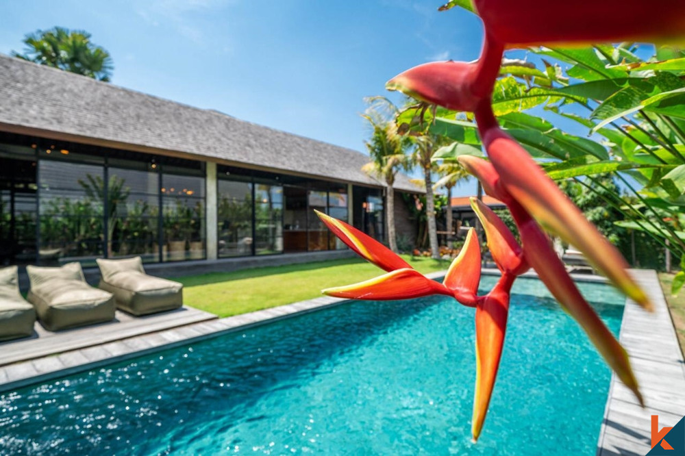 Luxury Three Bedrooms Villa in Canggu