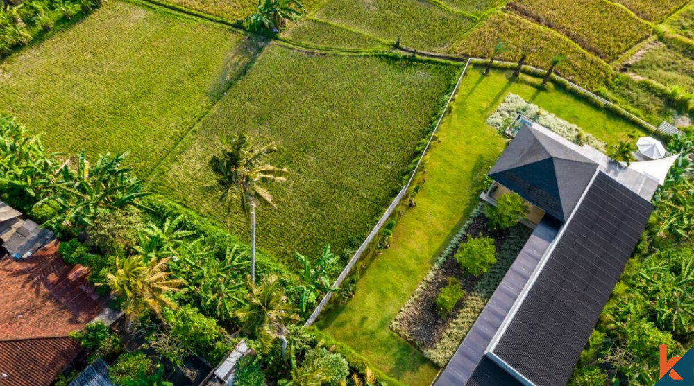 Amazing ricefields views property for sale in Ubud