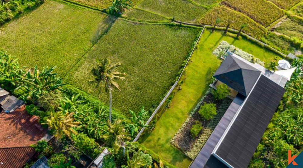 Properti dengan pemandangan sawah yang menakjubkan dijual di Ubud