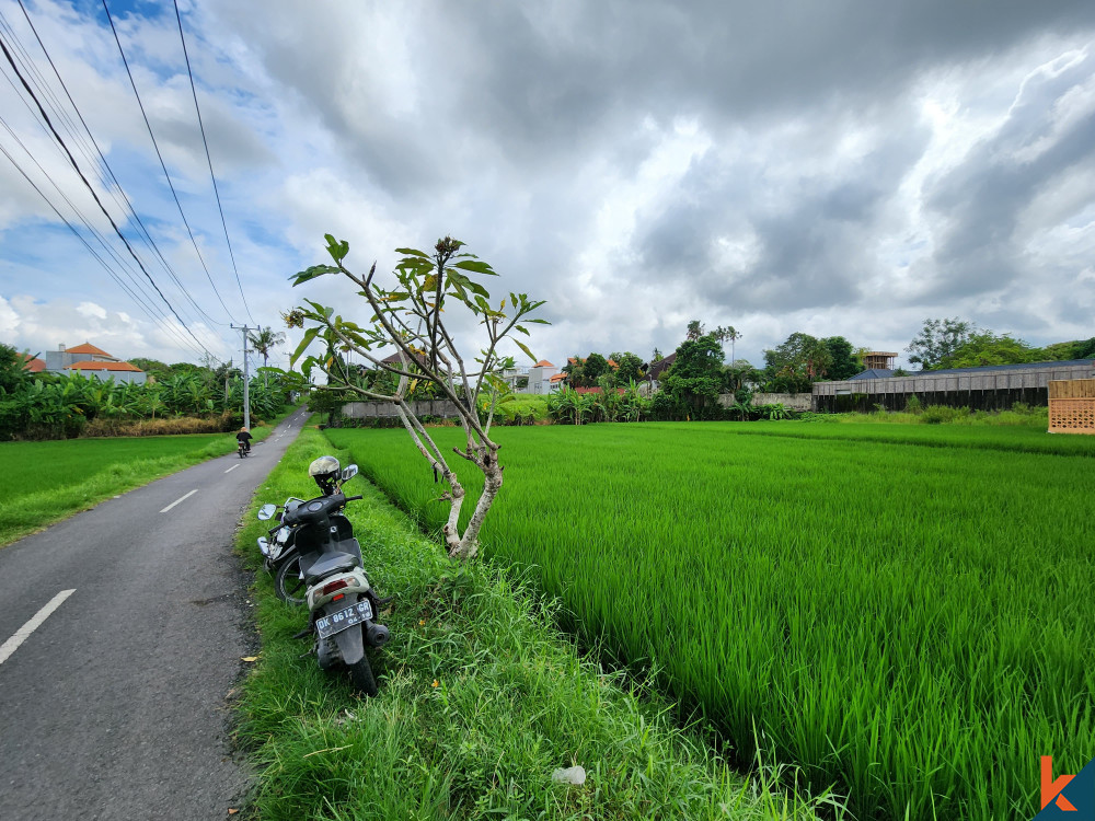 Terrain potentiel avec vue sur les rizières à louer à Canggu