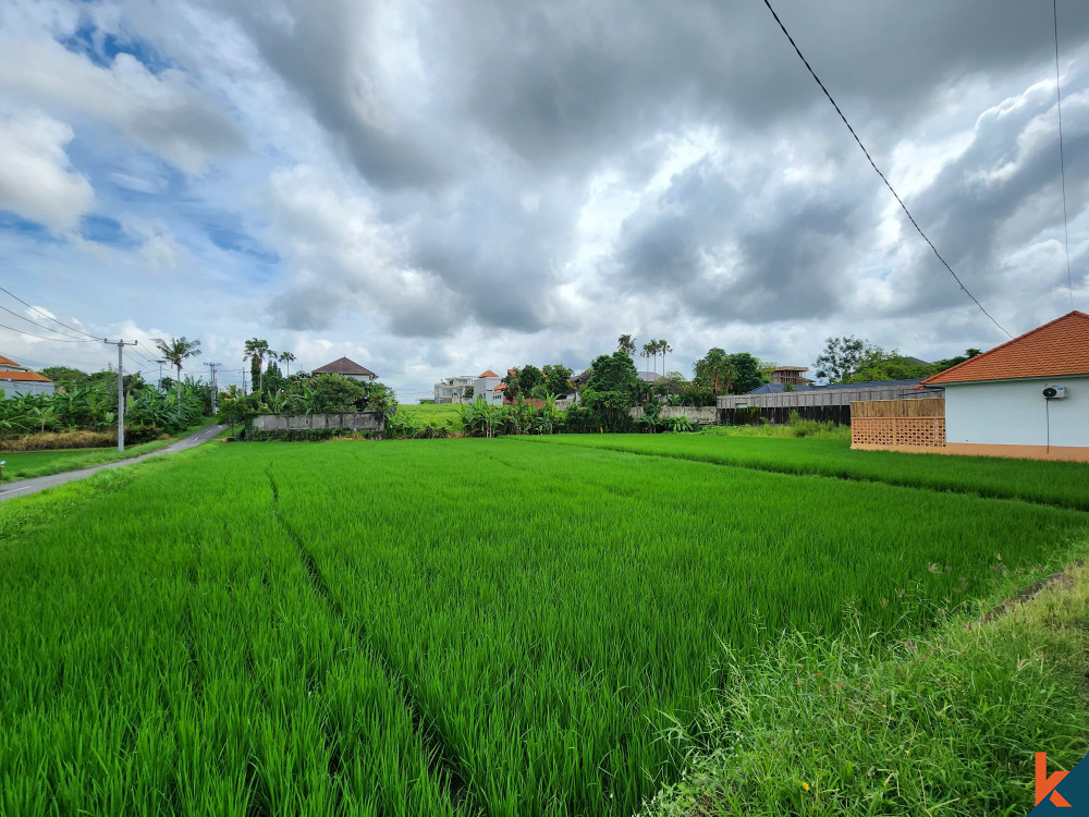 Potential Land with ricefields views for lease in Canggu
