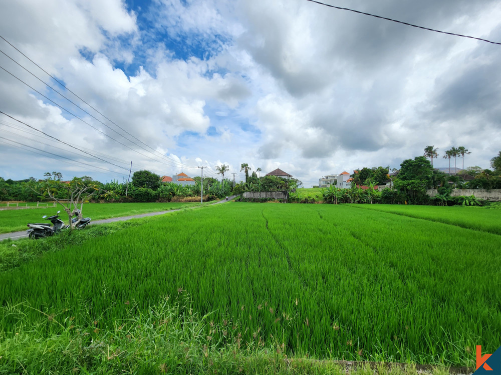 Terrain potentiel avec vue sur les rizières à louer à Canggu