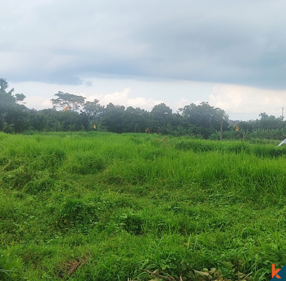 Strategic Beachside Land with Rice Field Views in Kedungu For Sale