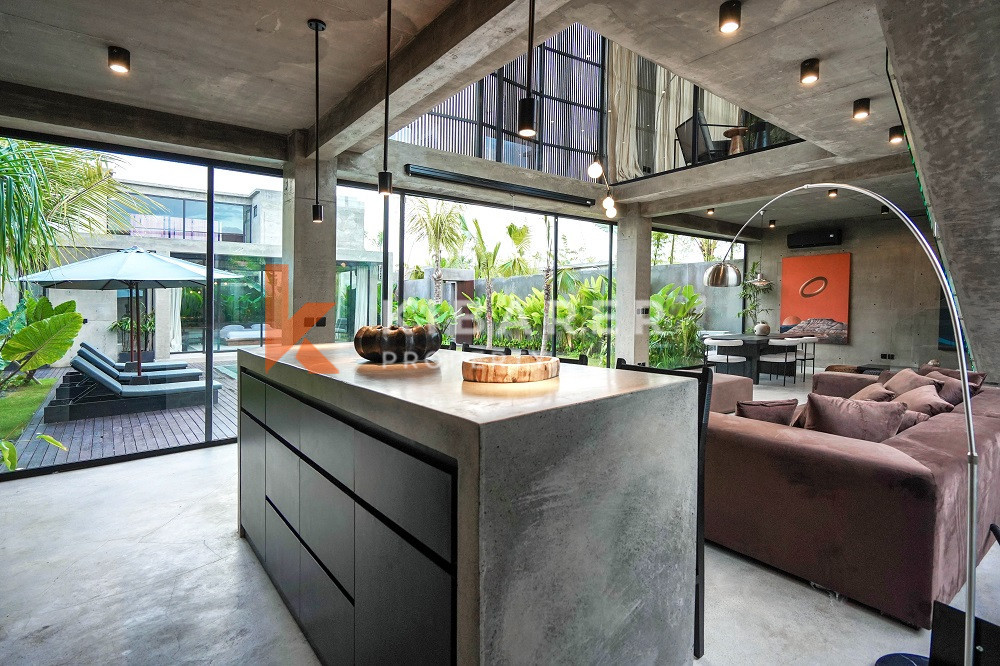 Brand New High Quality Four-Bedroom Enclosed Living Room Villa in the Edge of Canggu