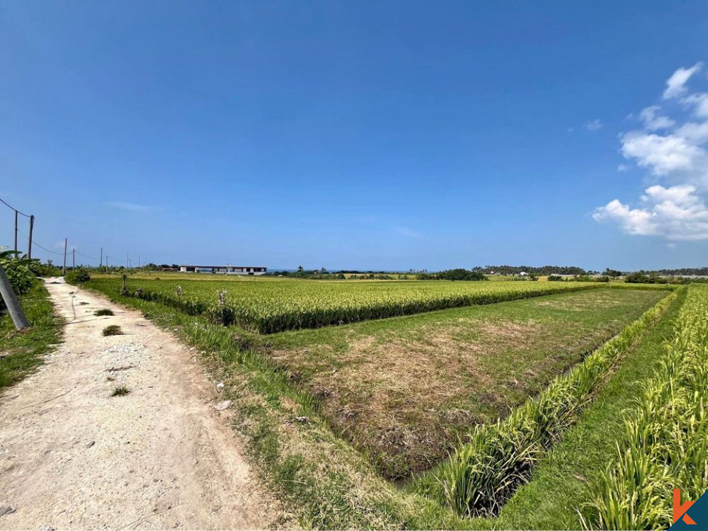 Lahan hak milik langka yang dapat ditempuh dengan berjalan kaki ke pantai