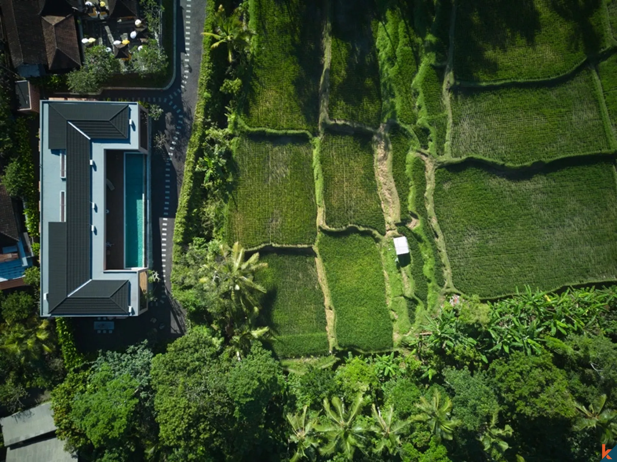 Spacious 5-Bedroom Villa for Sale in Ubud
