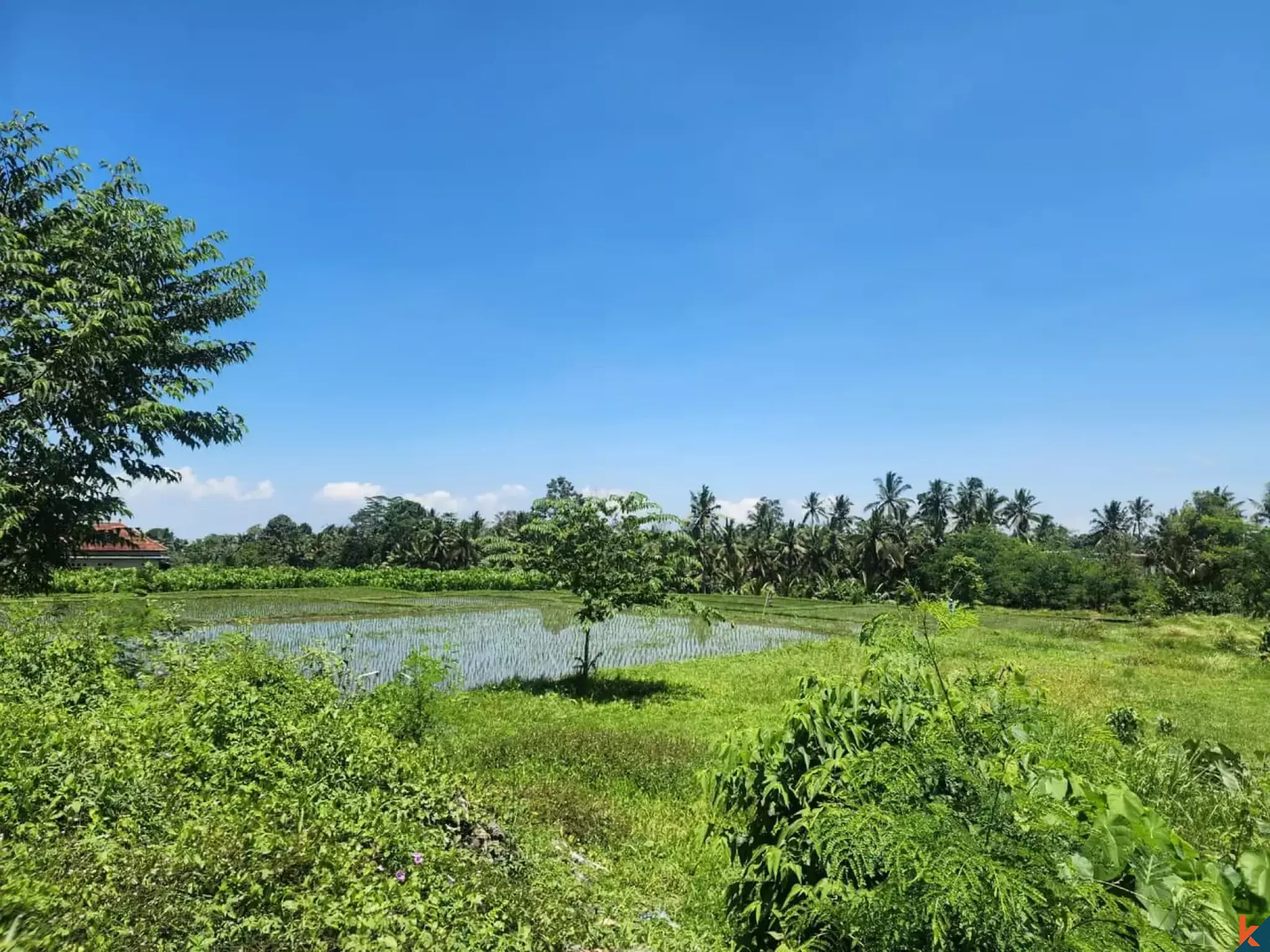 Magnificent Investment Plot of Land with Mountain Views and Green Surroundings in Ubud - Tegalalang
