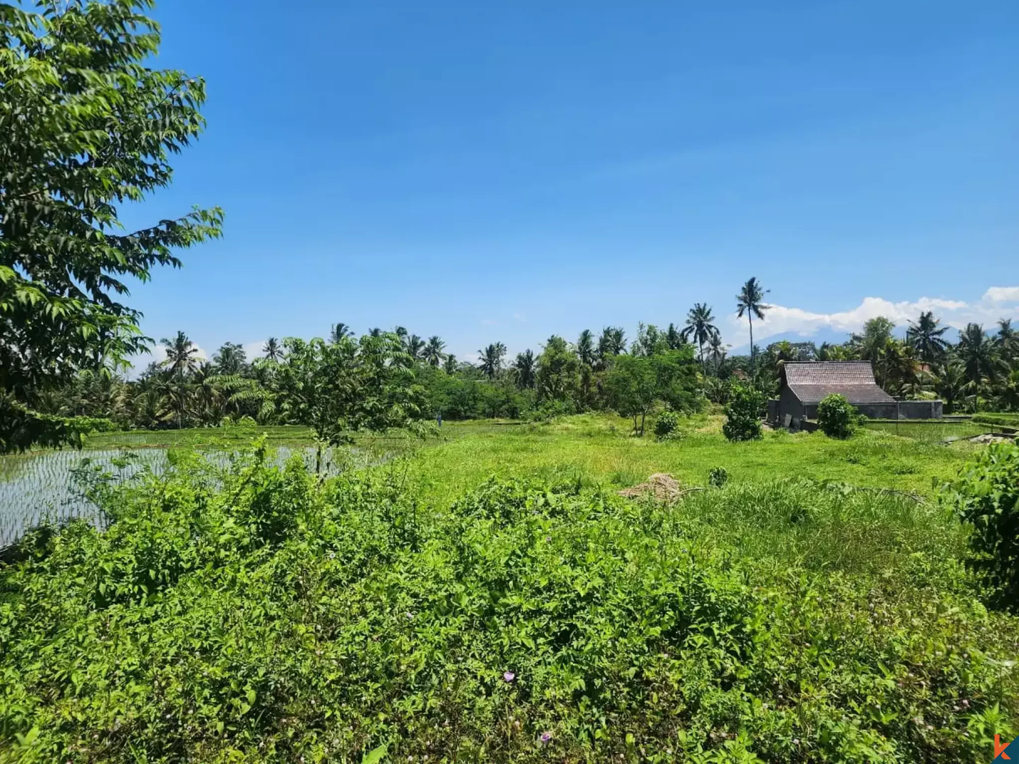 Magnificent Investment Plot of Land with Mountain Views and Green Surroundings in Ubud - Tegalalang