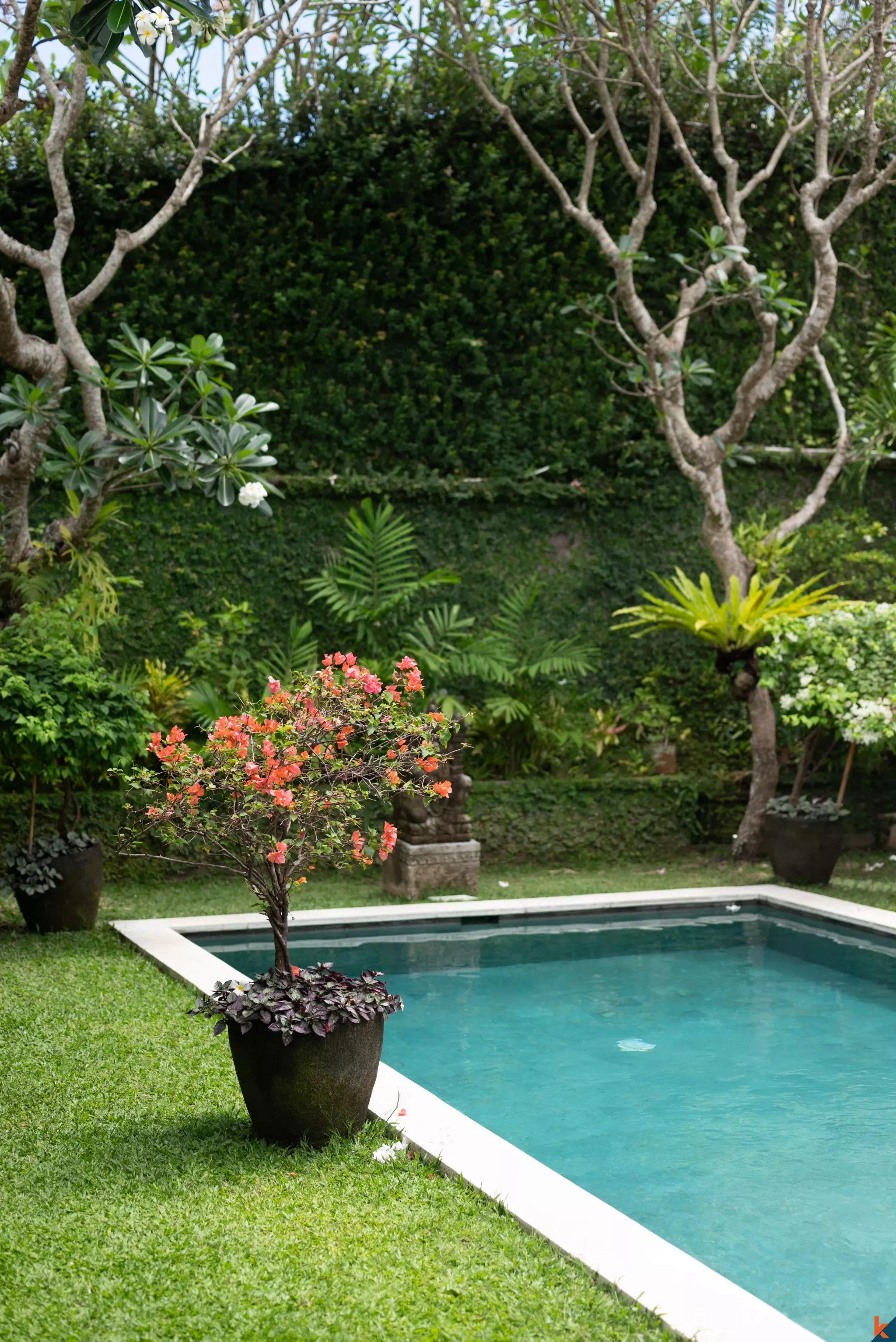 Oasis Tropis 2 Kamar Tidur dengan Kolam Renang Pribadi di Pusat Pererenan