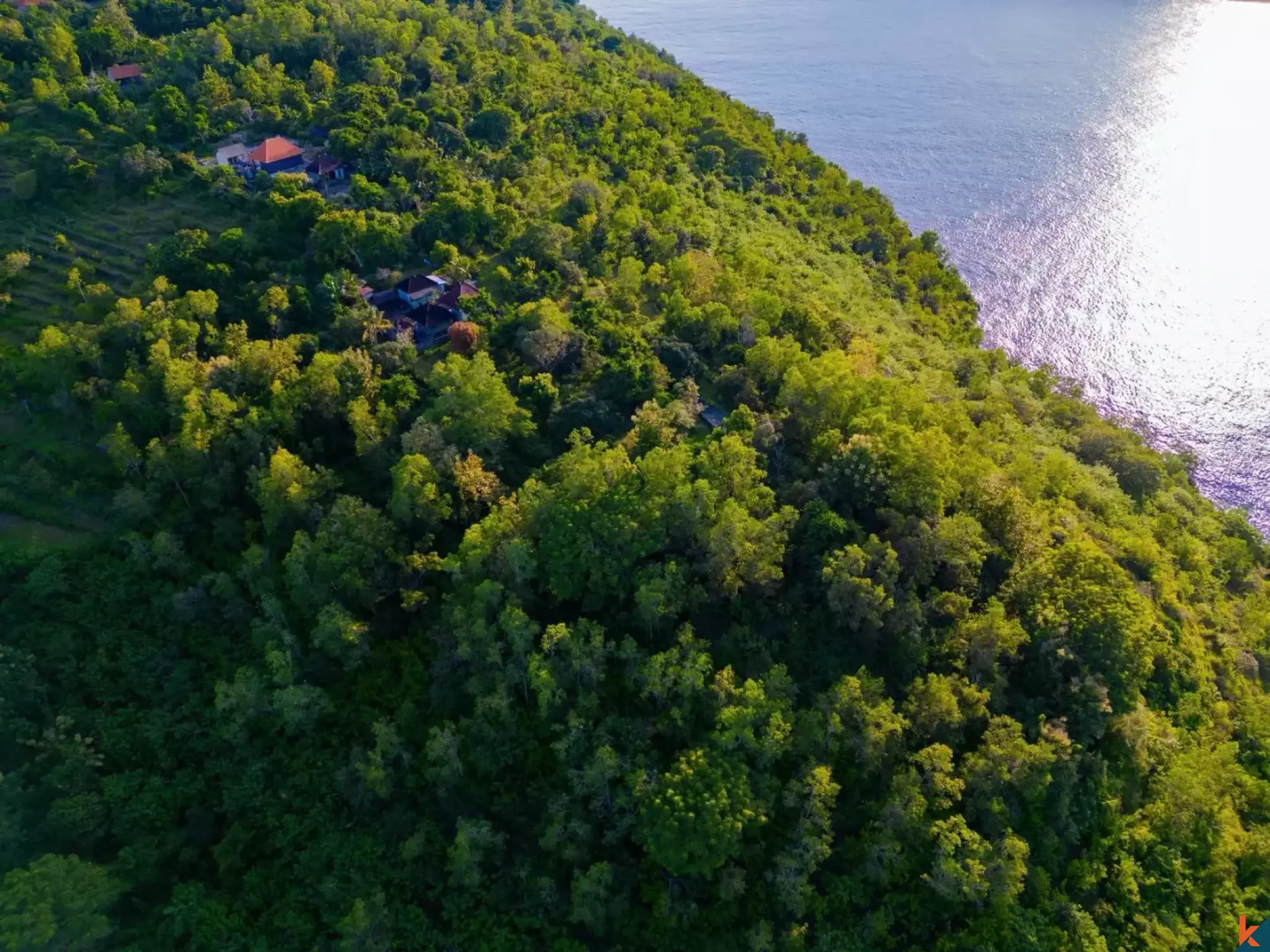 Opportunité d'investissement Terrain à vendre en bordure de falaise à Nusa Penida