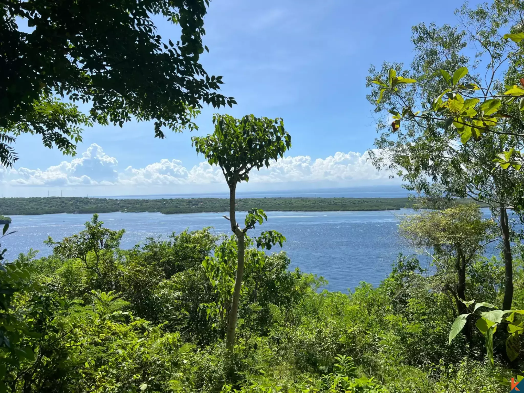 Opportunité d'investissement Terrain à vendre en bordure de falaise à Nusa Penida
