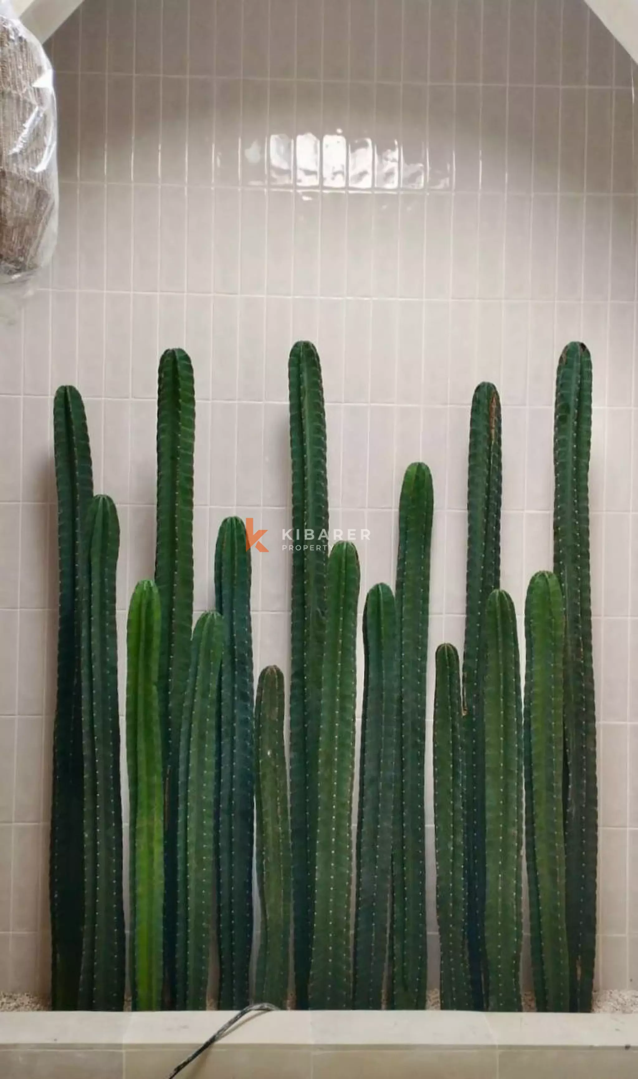 Brand New Modern Two-Bedroom Villa Near Cemagi Beach