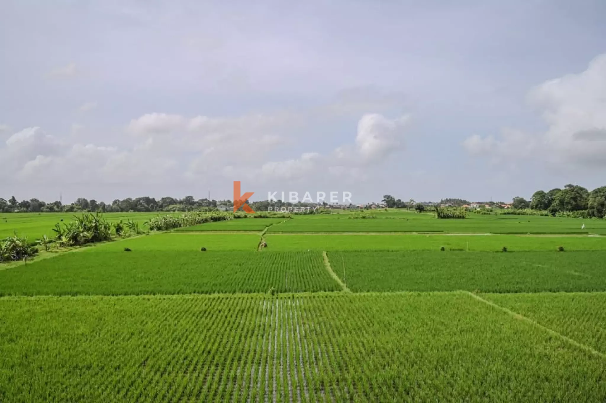 Modern Beachside Two Bedroom Villa with Private Pool and Paddy Views Kedungu