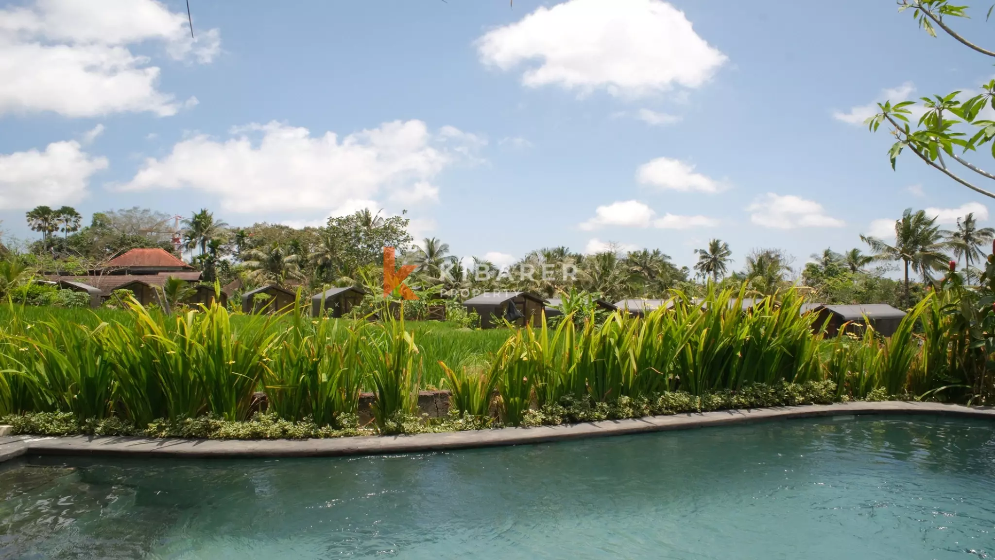Tropical Sanctuary: Private One-Bedroom Pool Villa in Ubud