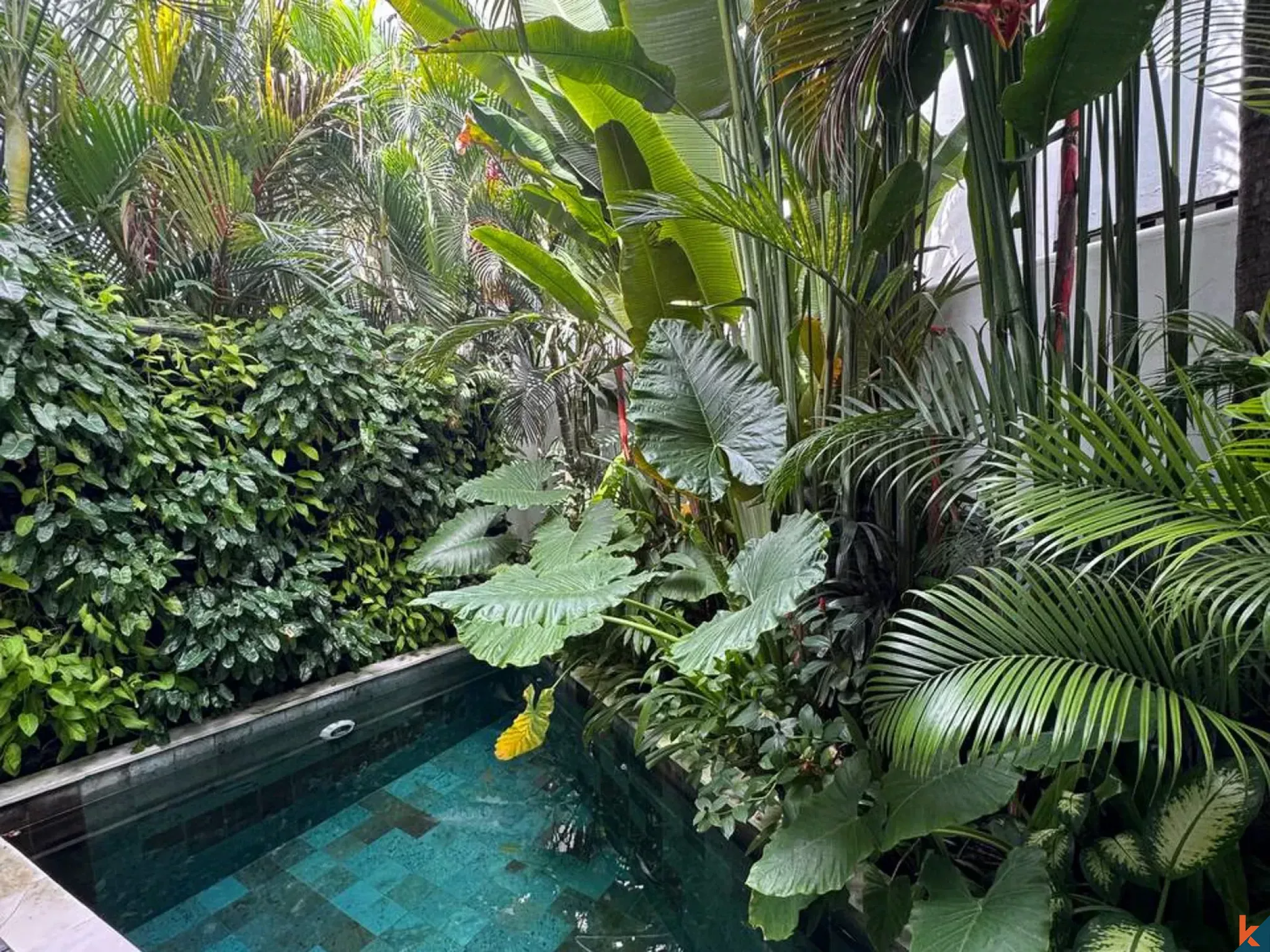 Villa Sewa Tiga Kamar Tidur yang Indah di Umalas