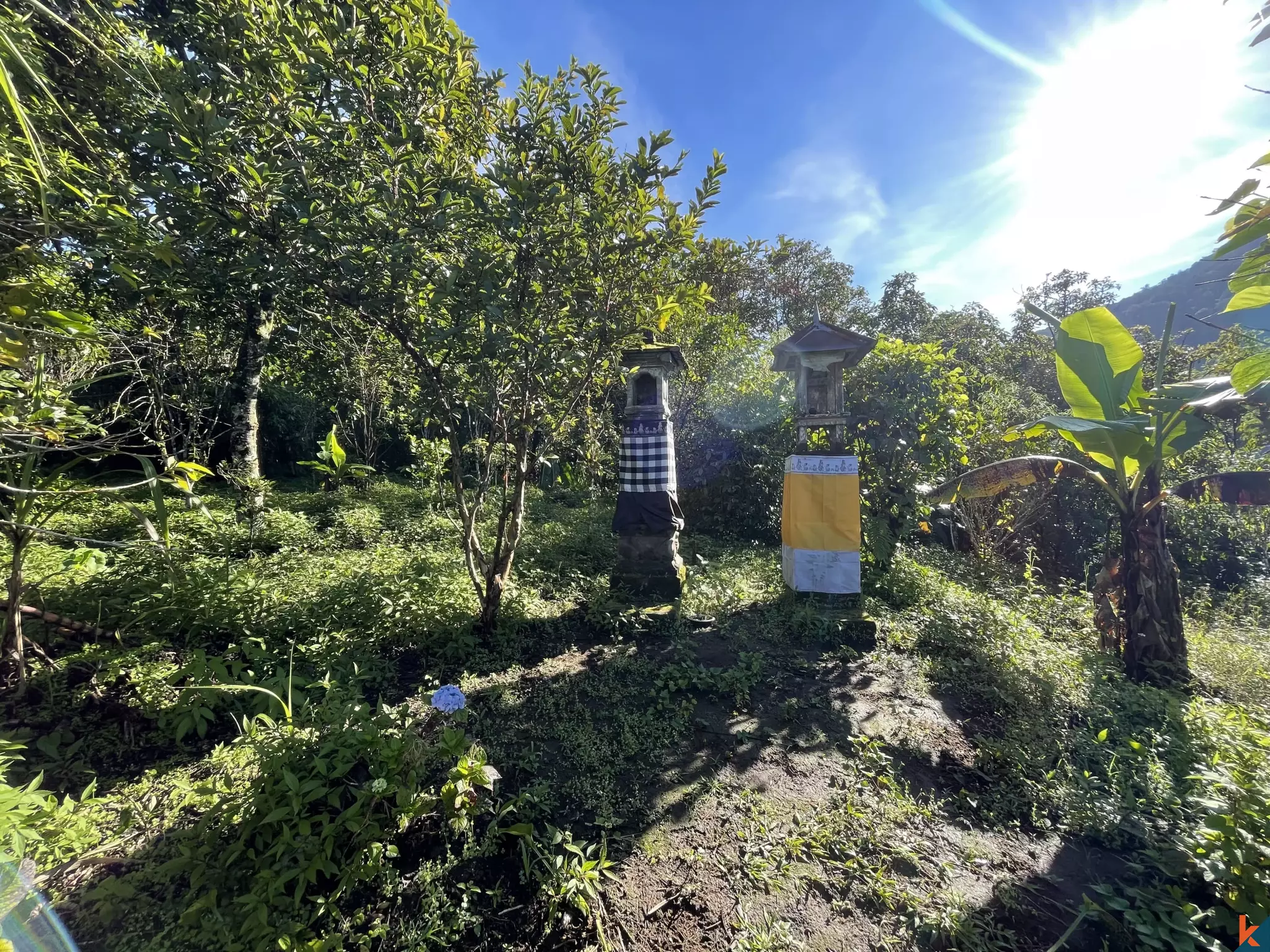 Tanah Luas 94 Are yang Menakjubkan Dijual di Munduk yang Indah