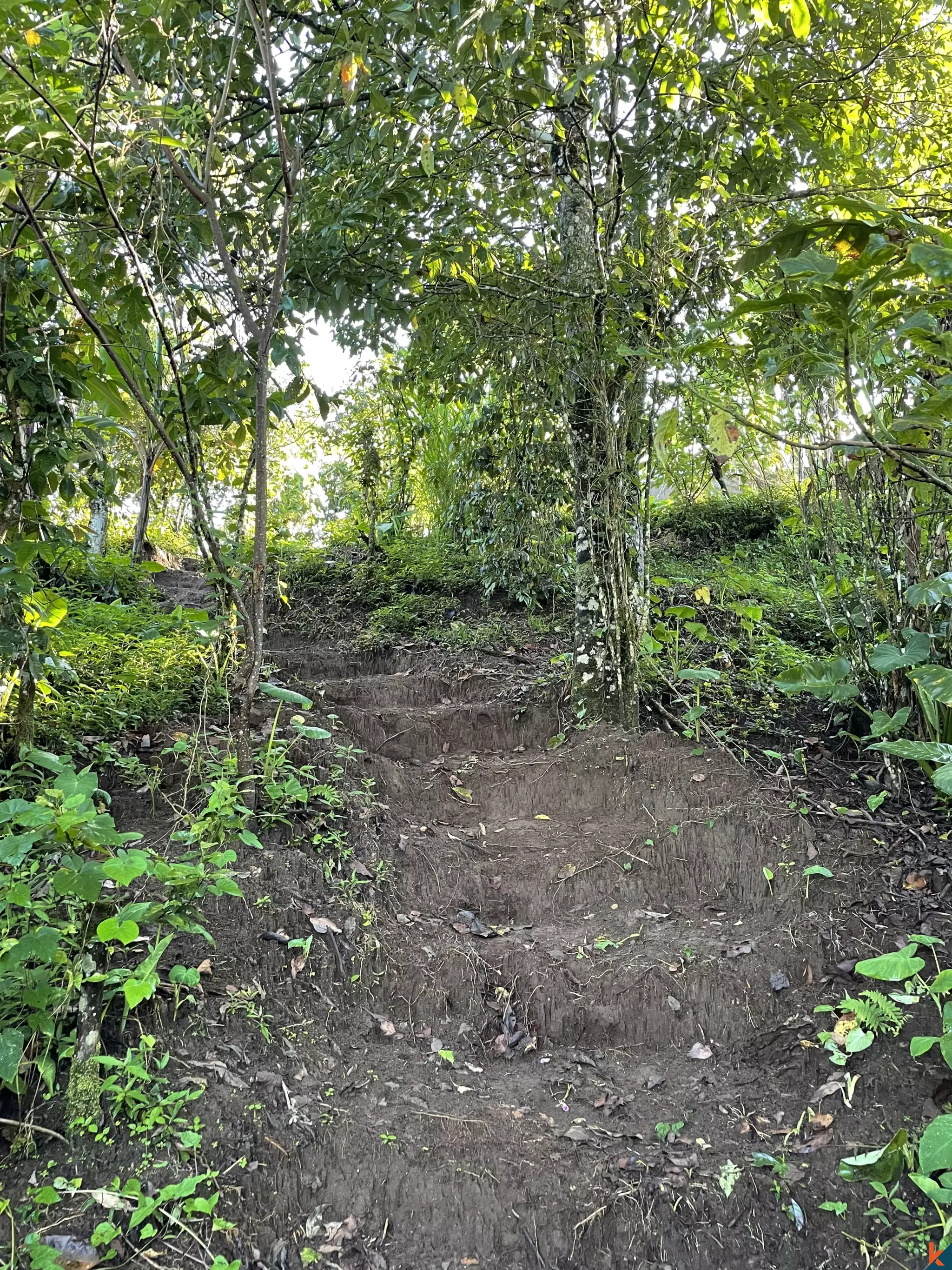 Tanah Luas 94 Are yang Menakjubkan Dijual di Munduk yang Indah