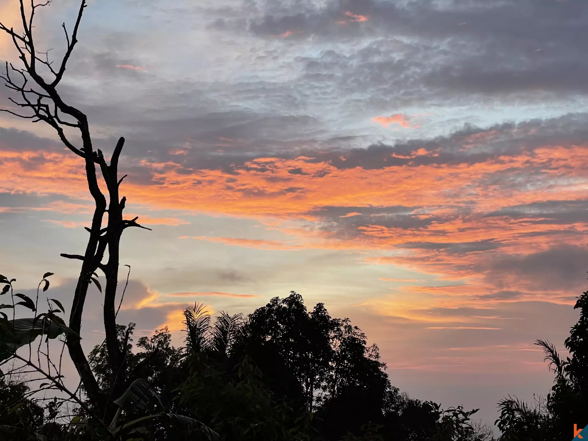 Tanah Luas 94 Are yang Menakjubkan Dijual di Munduk yang Indah