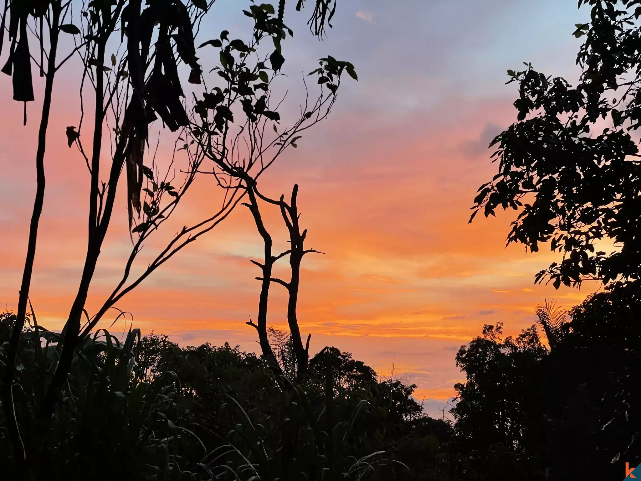 Tanah Luas 94 Are yang Menakjubkan Dijual di Munduk yang Indah