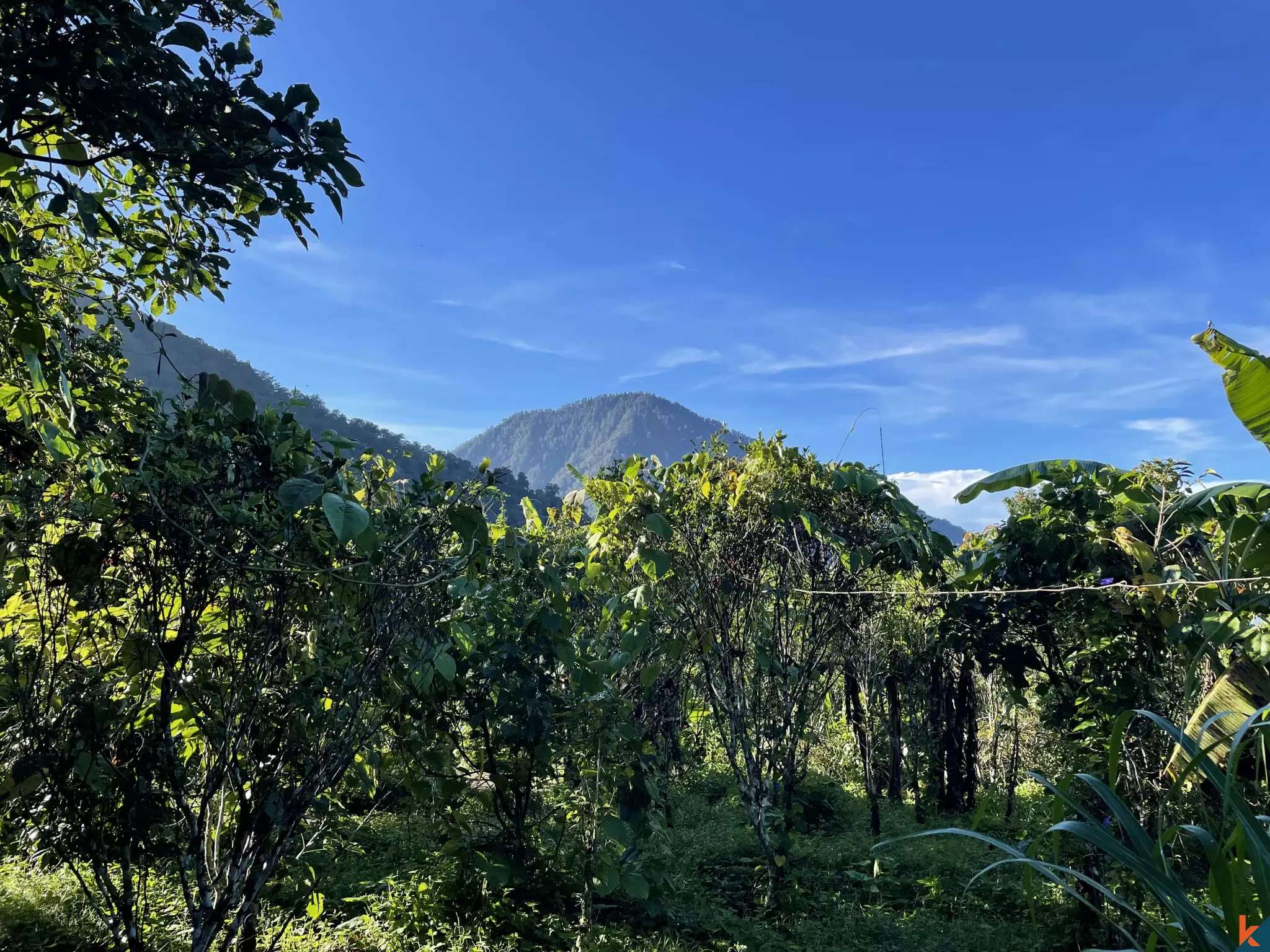 Tanah Luas 94 Are yang Menakjubkan Dijual di Munduk yang Indah