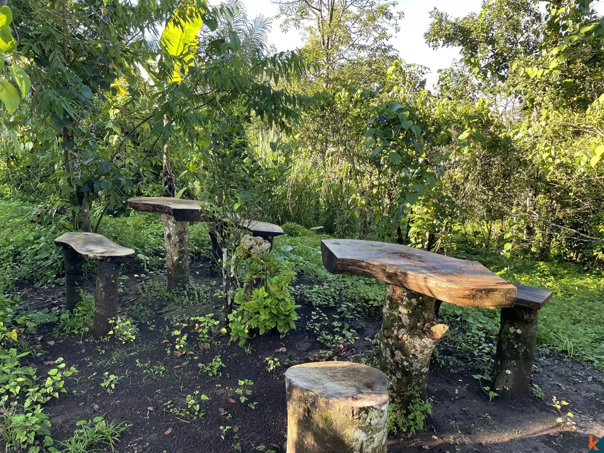 Tanah Luas 94 Are yang Menakjubkan Dijual di Munduk yang Indah