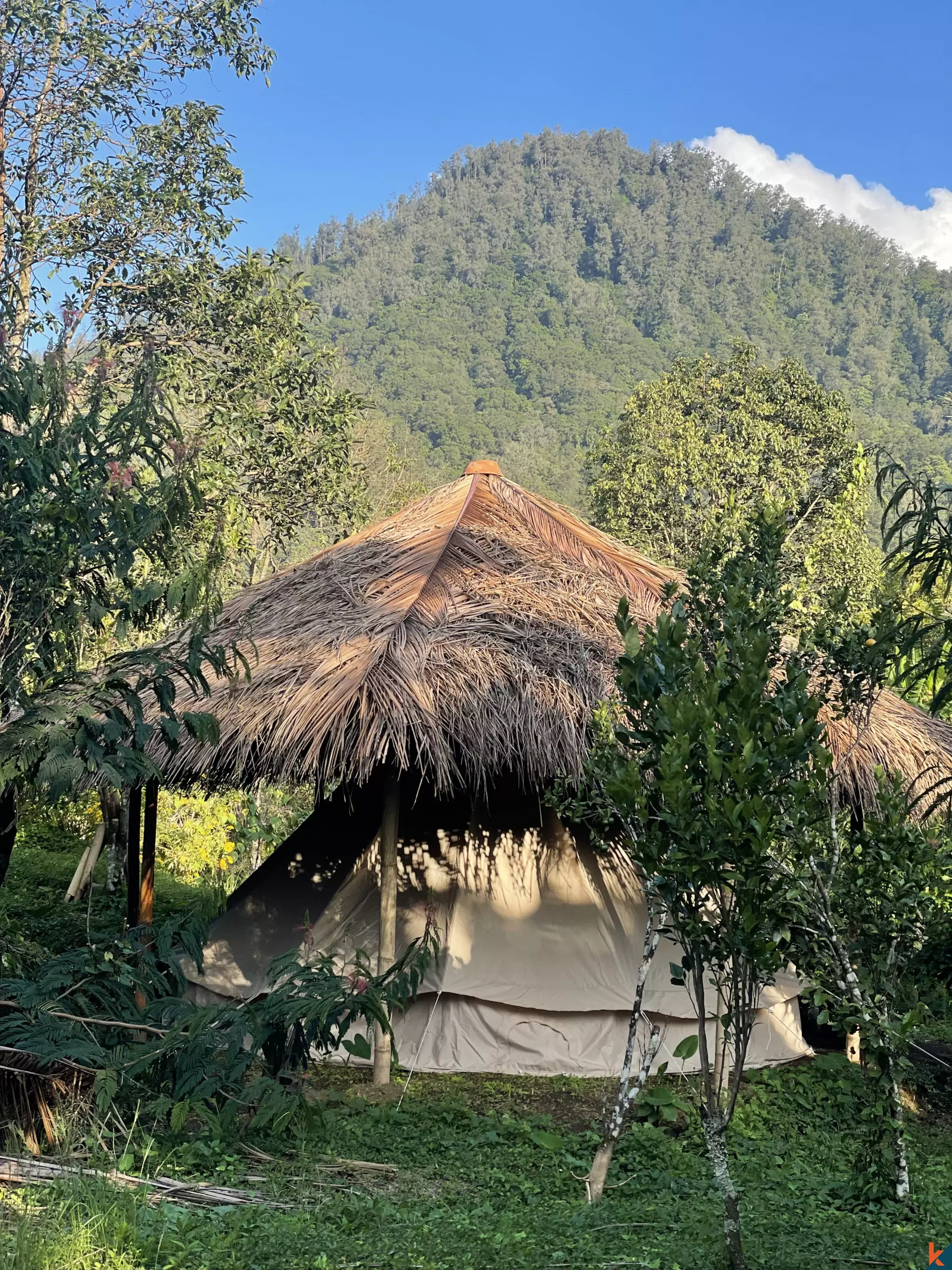 Tanah Luas 94 Are yang Menakjubkan Dijual di Munduk yang Indah