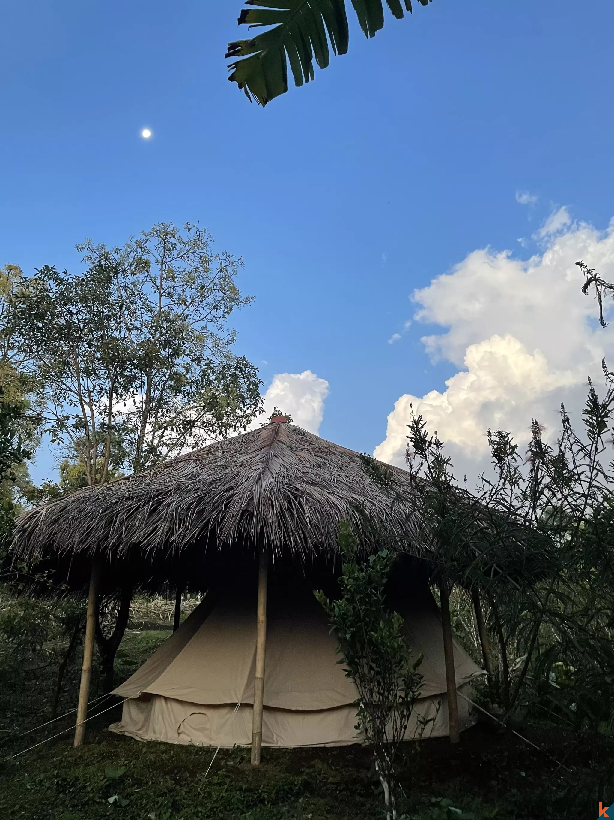 Tanah Luas 94 Are yang Menakjubkan Dijual di Munduk yang Indah