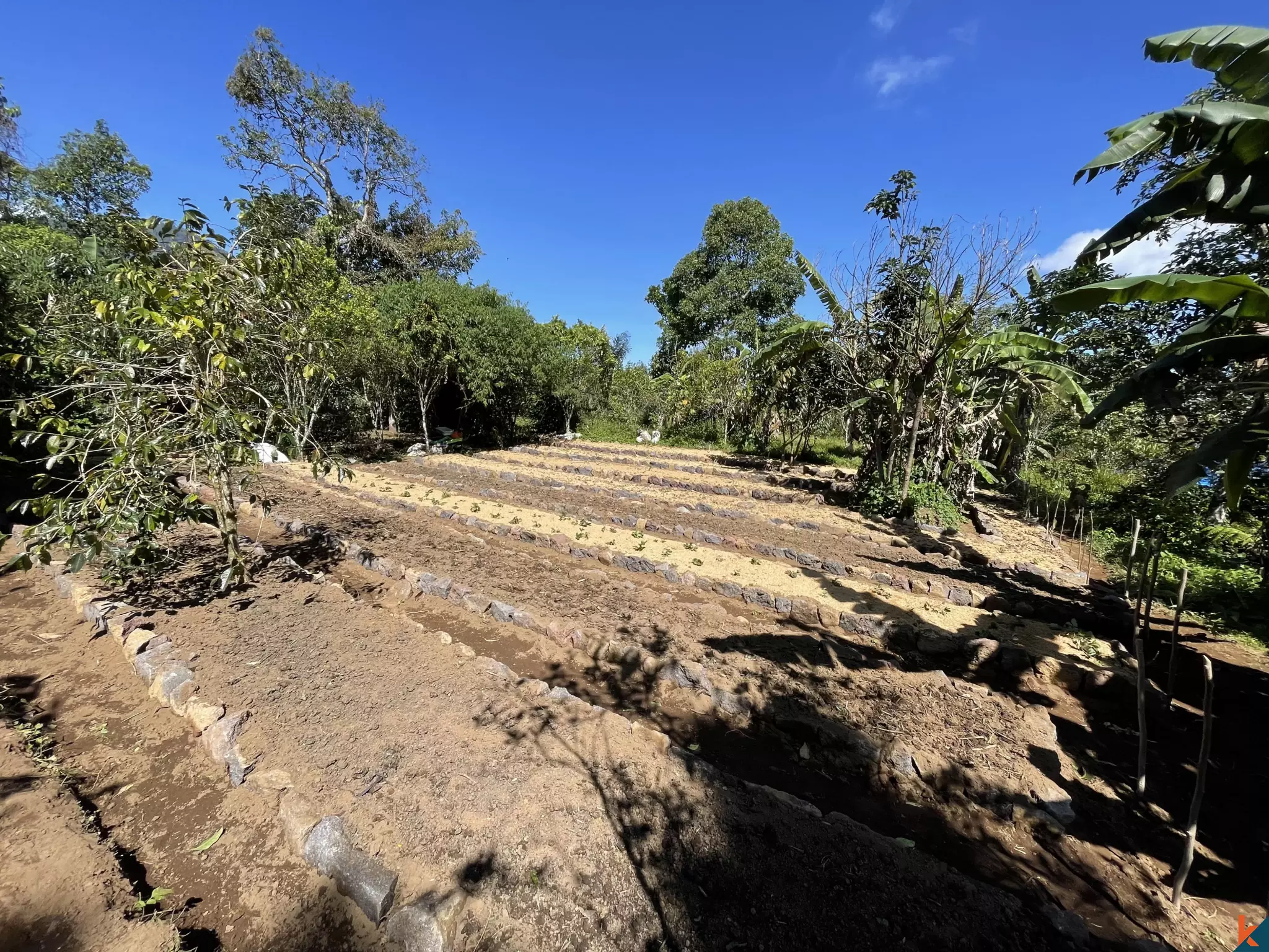Tanah Luas 94 Are yang Menakjubkan Dijual di Munduk yang Indah