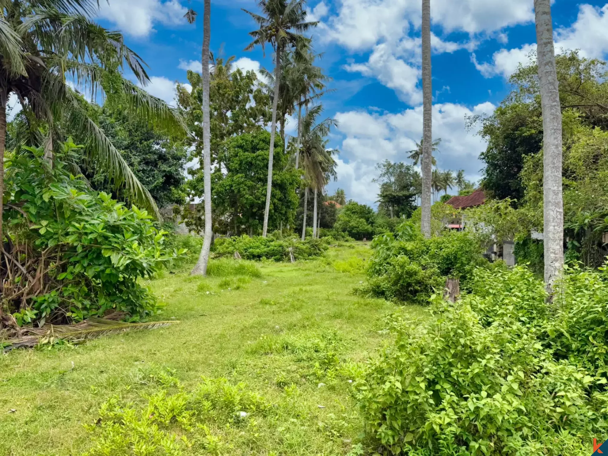 Lahan Sewa yang Menjanjikan di Kawasan Tenang Nusa Lembongan