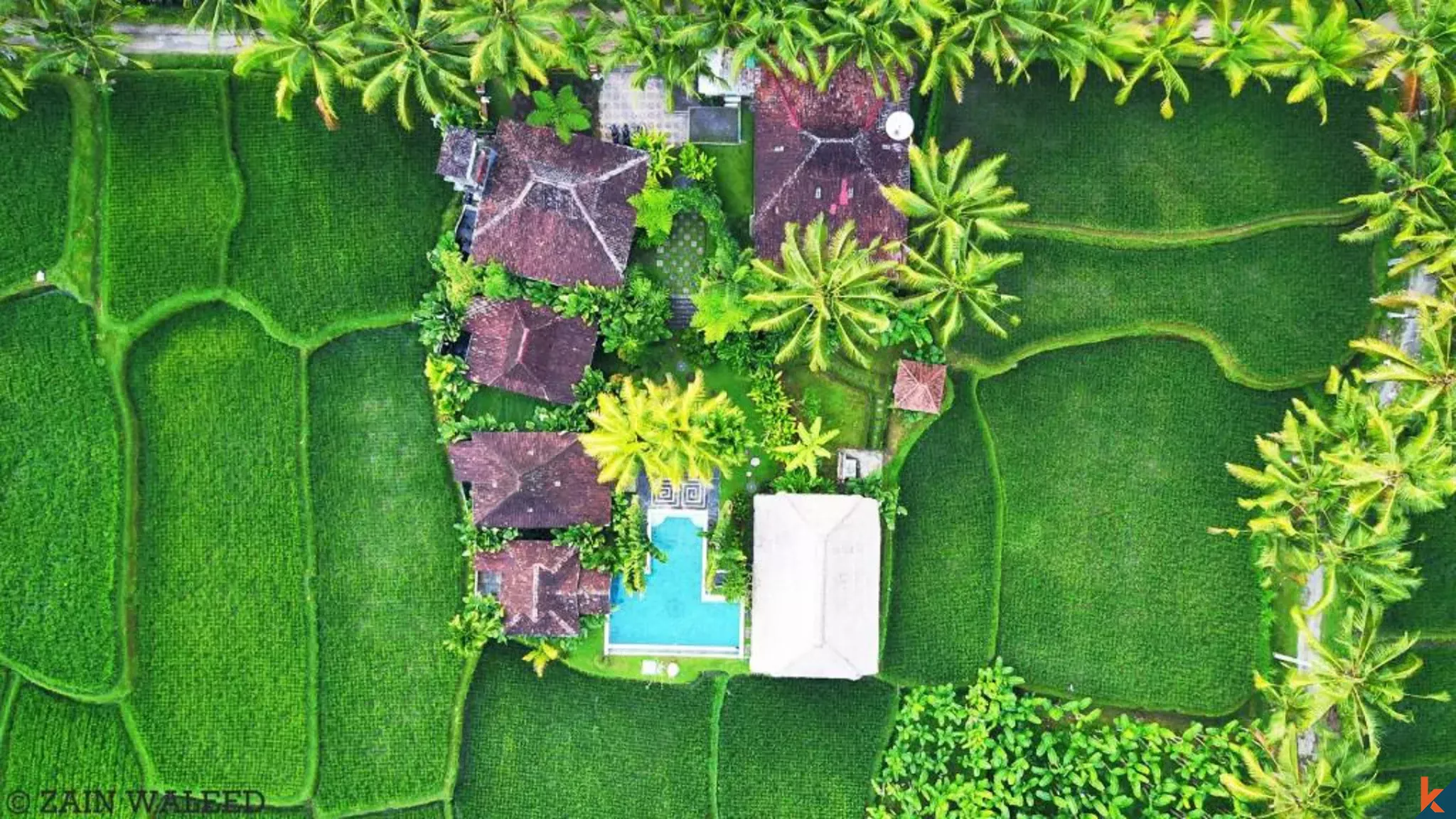 Amazing Seven Bedroom Leasehold Real Estate with Endless Rice Field Views in Ubud
