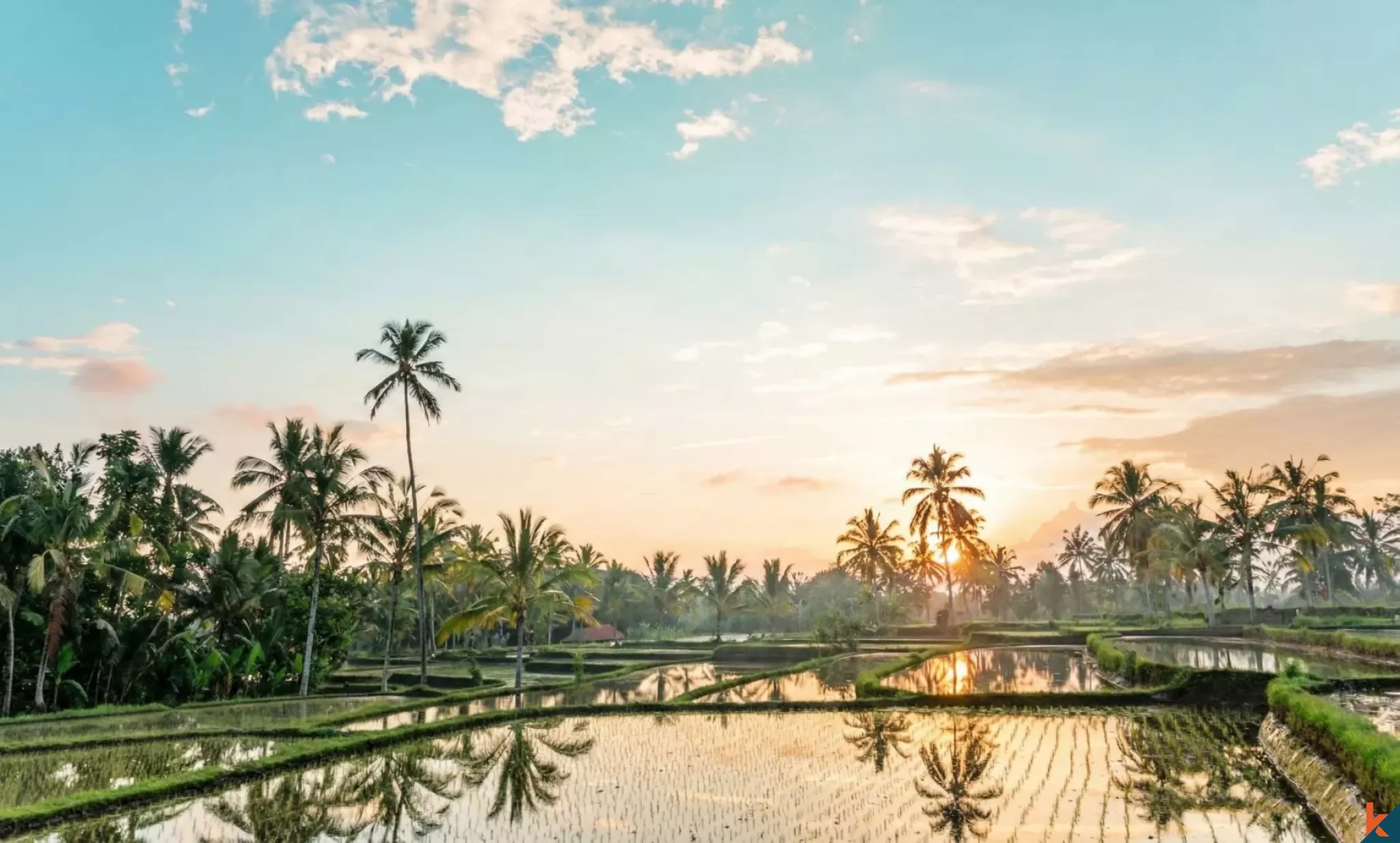 Amazing Seven Bedroom Leasehold Real Estate with Endless Rice Field Views in Ubud