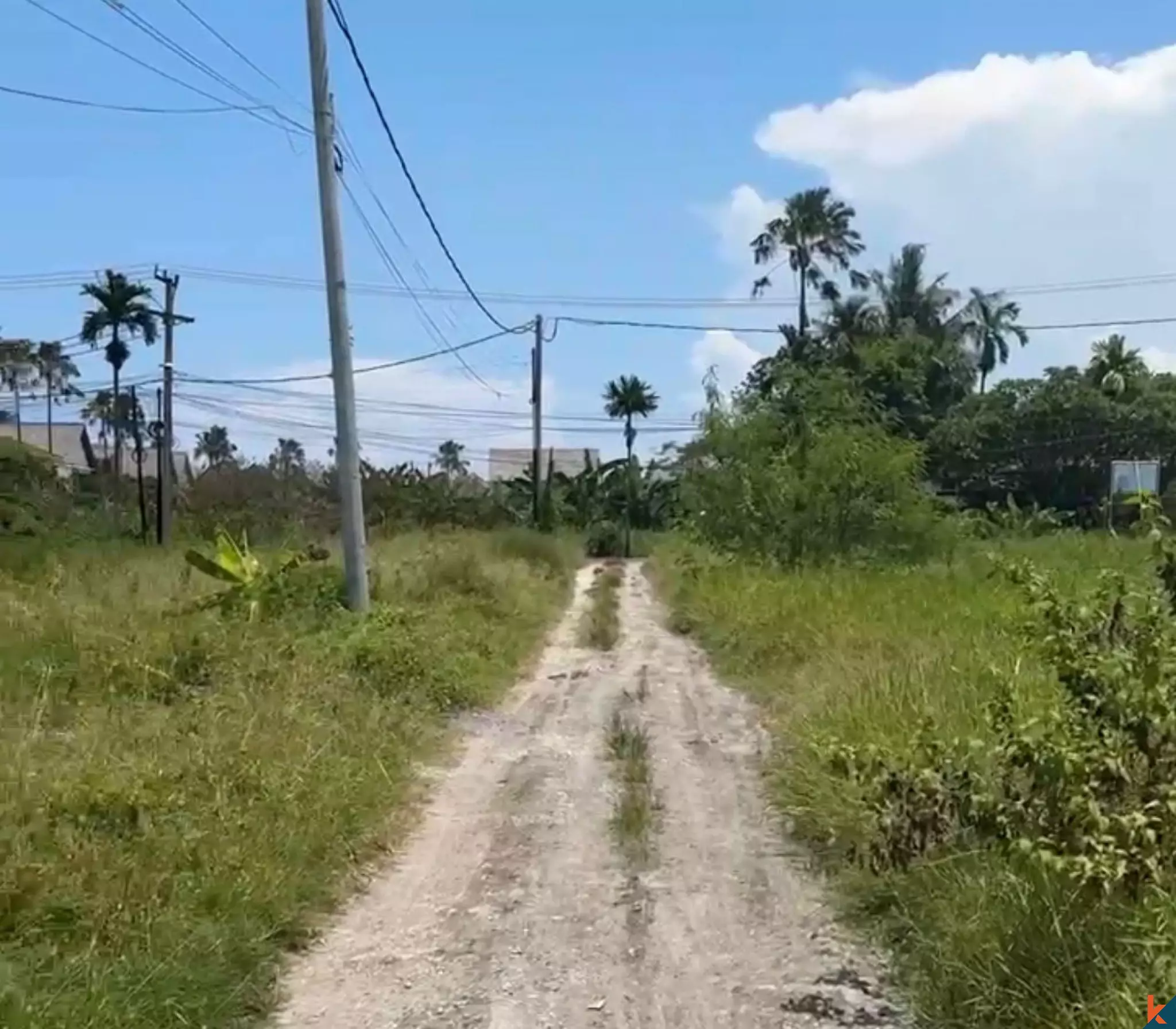 Terrains de 1,5 hectare à Cemagi