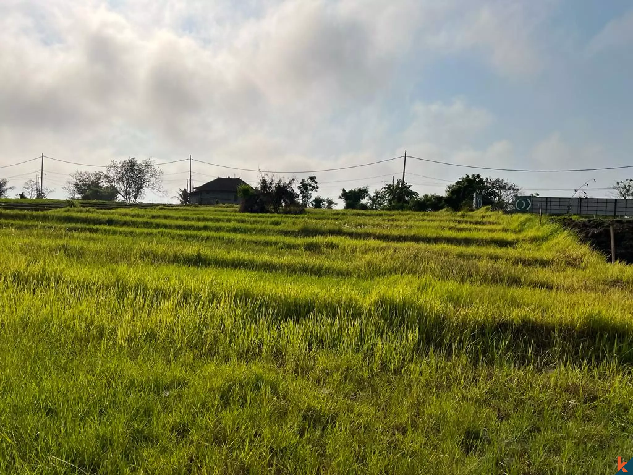 4 Plots Available Scenic 5.5 Are Land in Pantai Nyanyi with Beautiful Rice Field Views