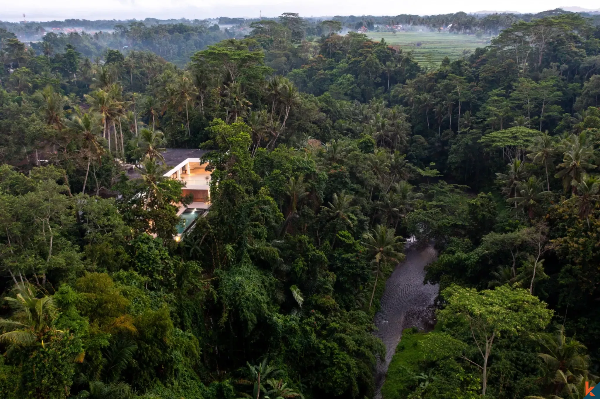 Modern Four Bedroom Jungle Villa for Lease in Ubud - Pejeng