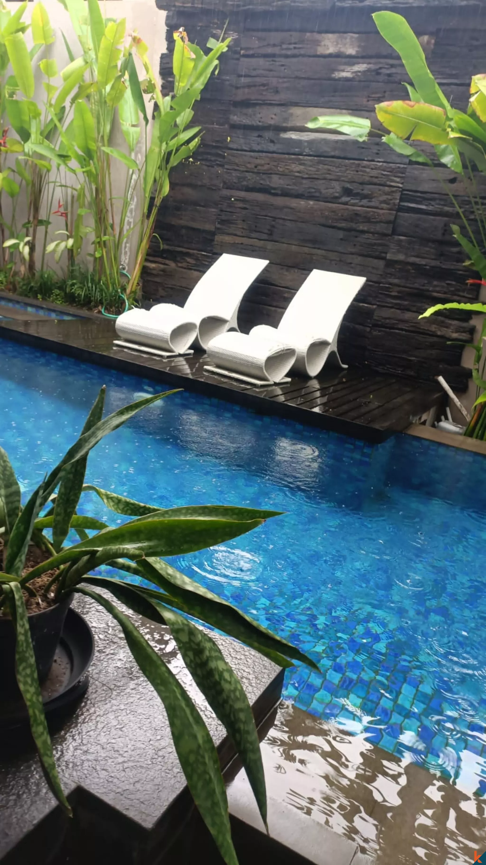 Villa 3KT Modern + Ruang Kantor di Kerobokan