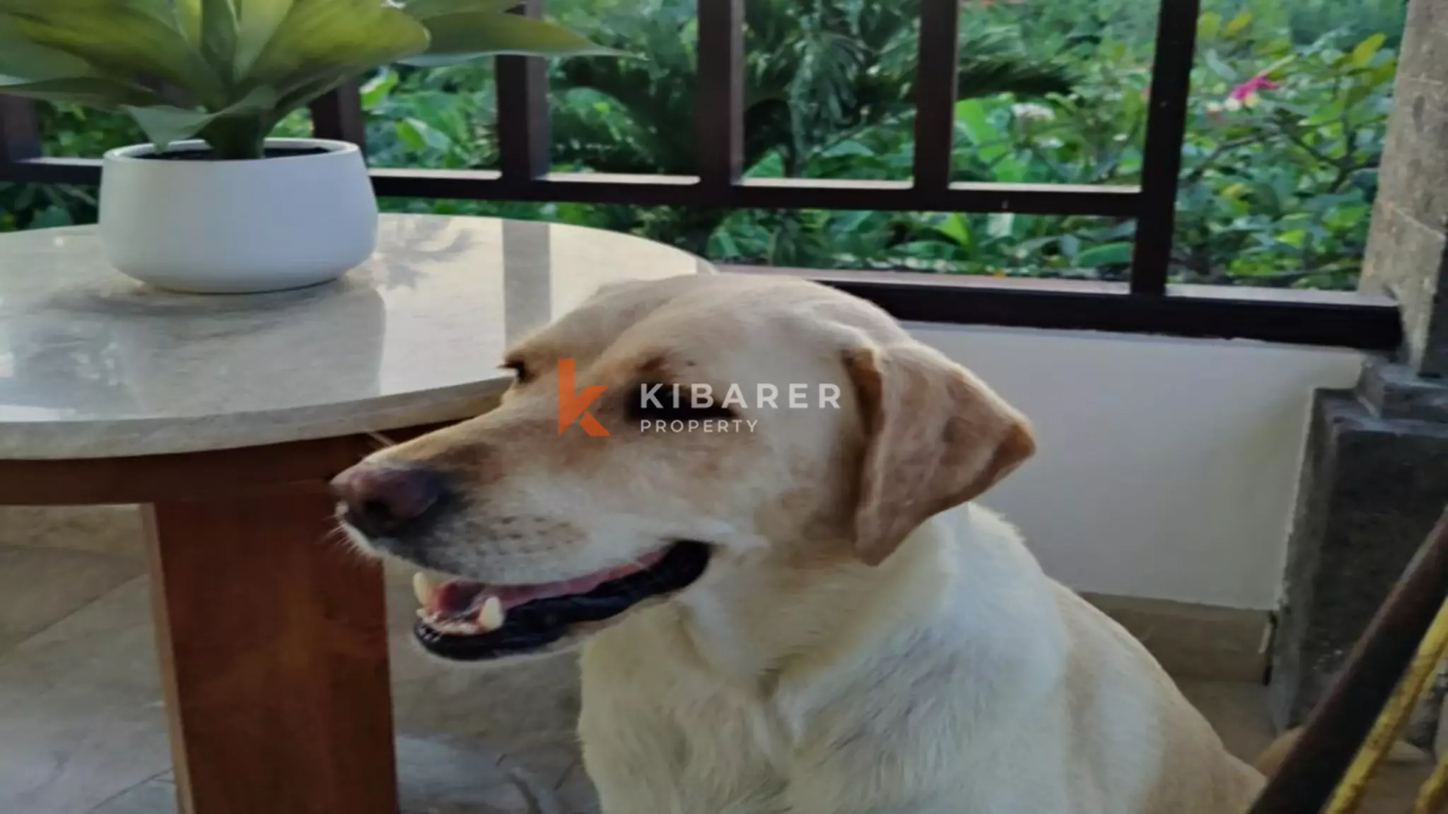 Cozy Two Bedroom Open Living House With Pool in Umalas (﻿Available from April until October)