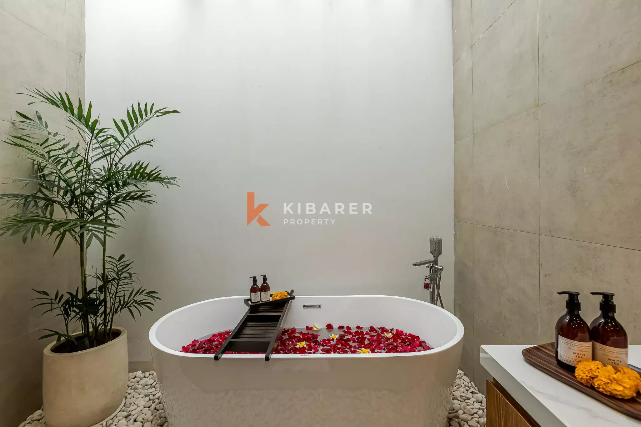 Villa Tiga Kamar Tidur Modern dan Segar di Jantung Canggu