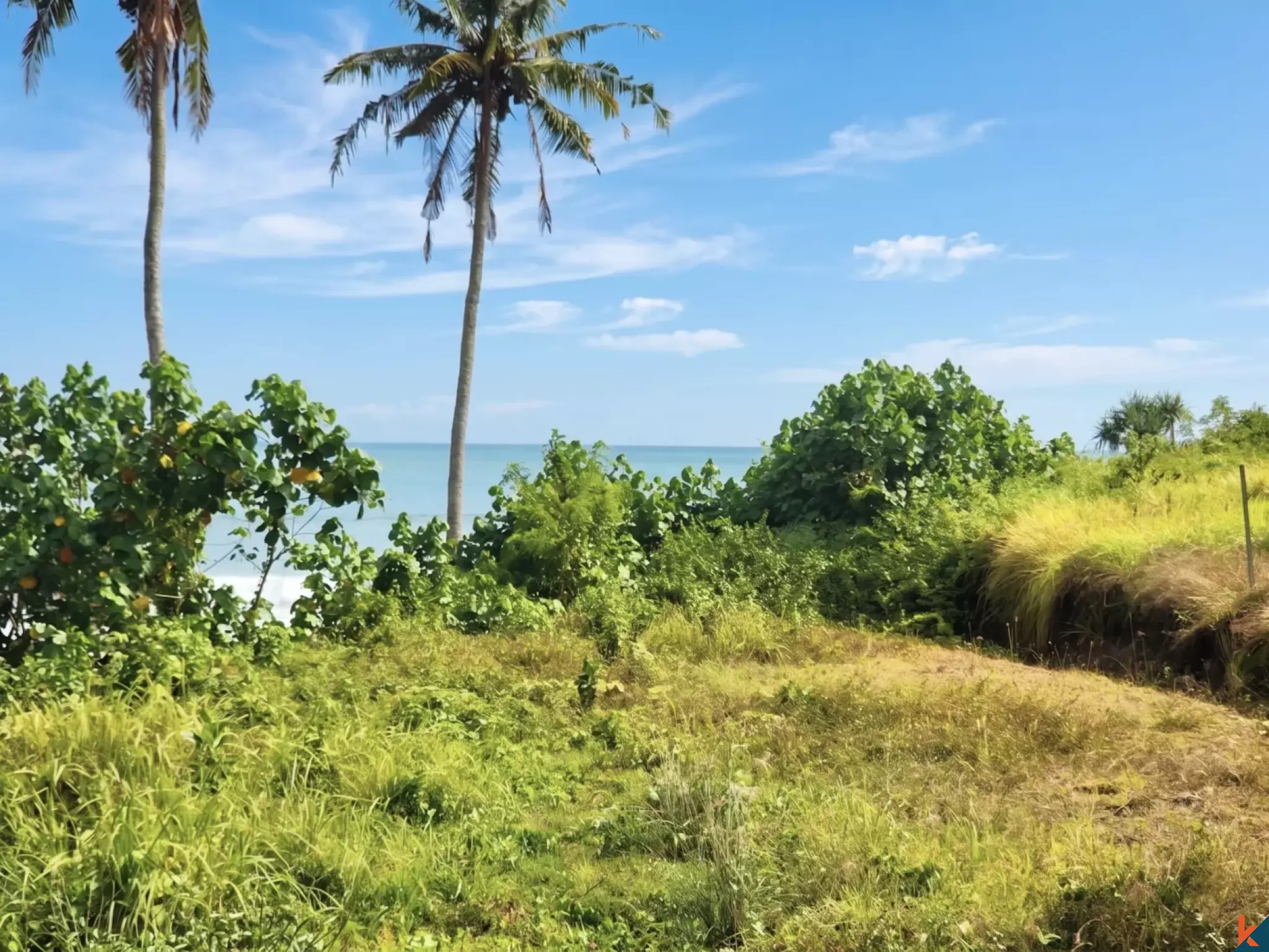 Rare terrain en bord de mer, en bail emphytéotique de longue durée, à Pantai Bonian - Tabanan