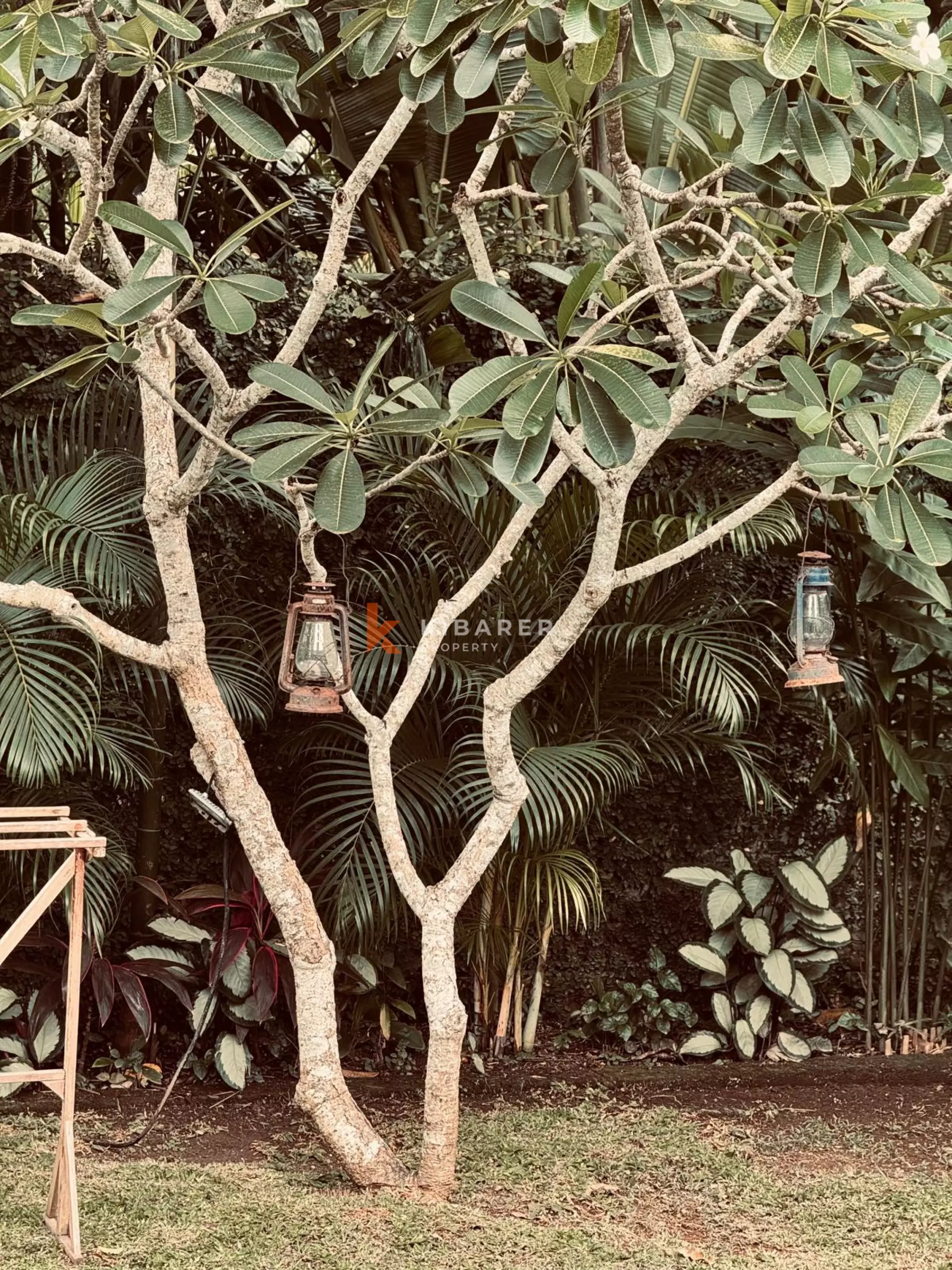 Wooden Ethnic Three Bedroom Villa in Batu Bolong