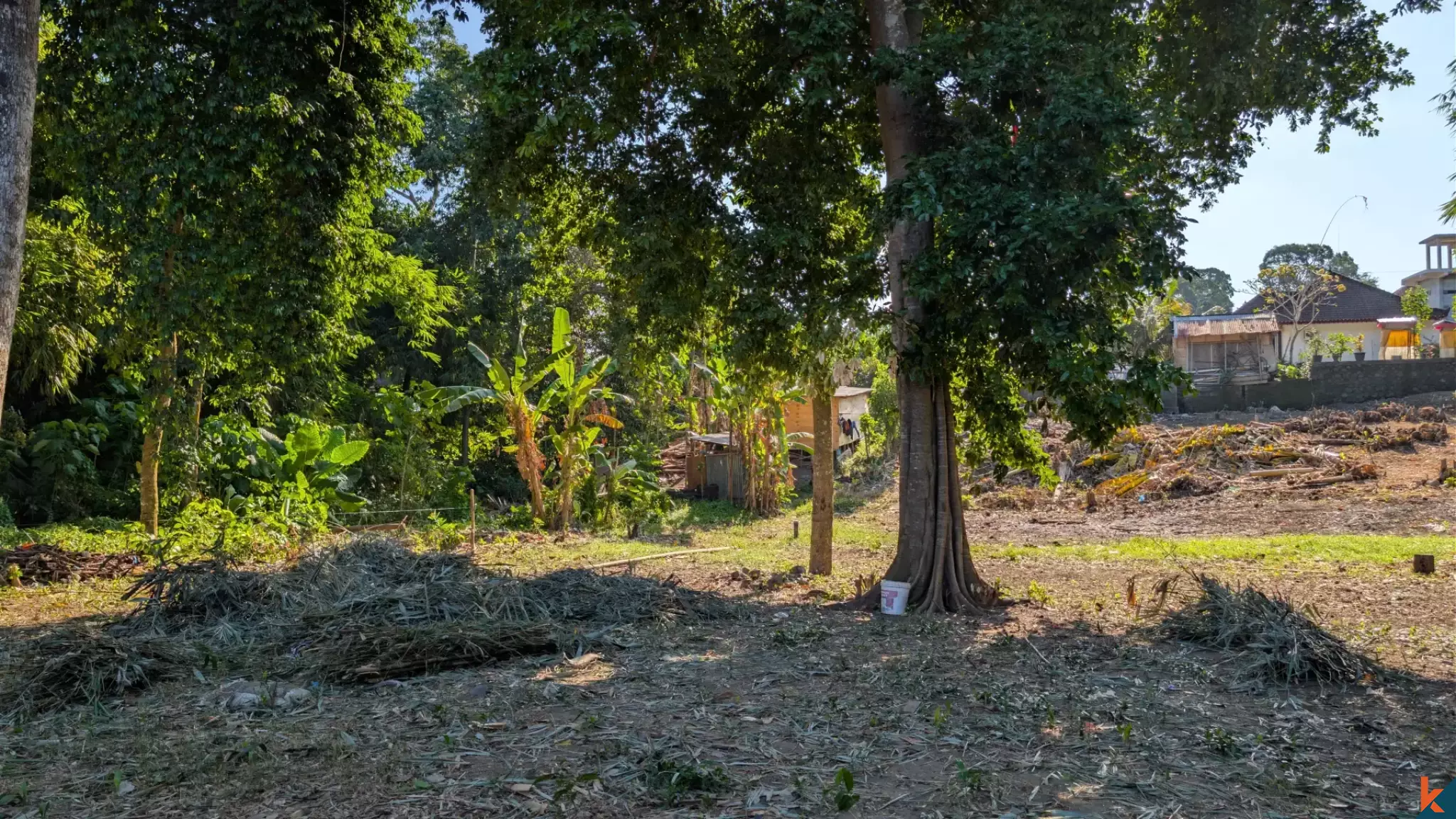 Rare Long Lease Opportunity 9.5 Are Land in Canggu
