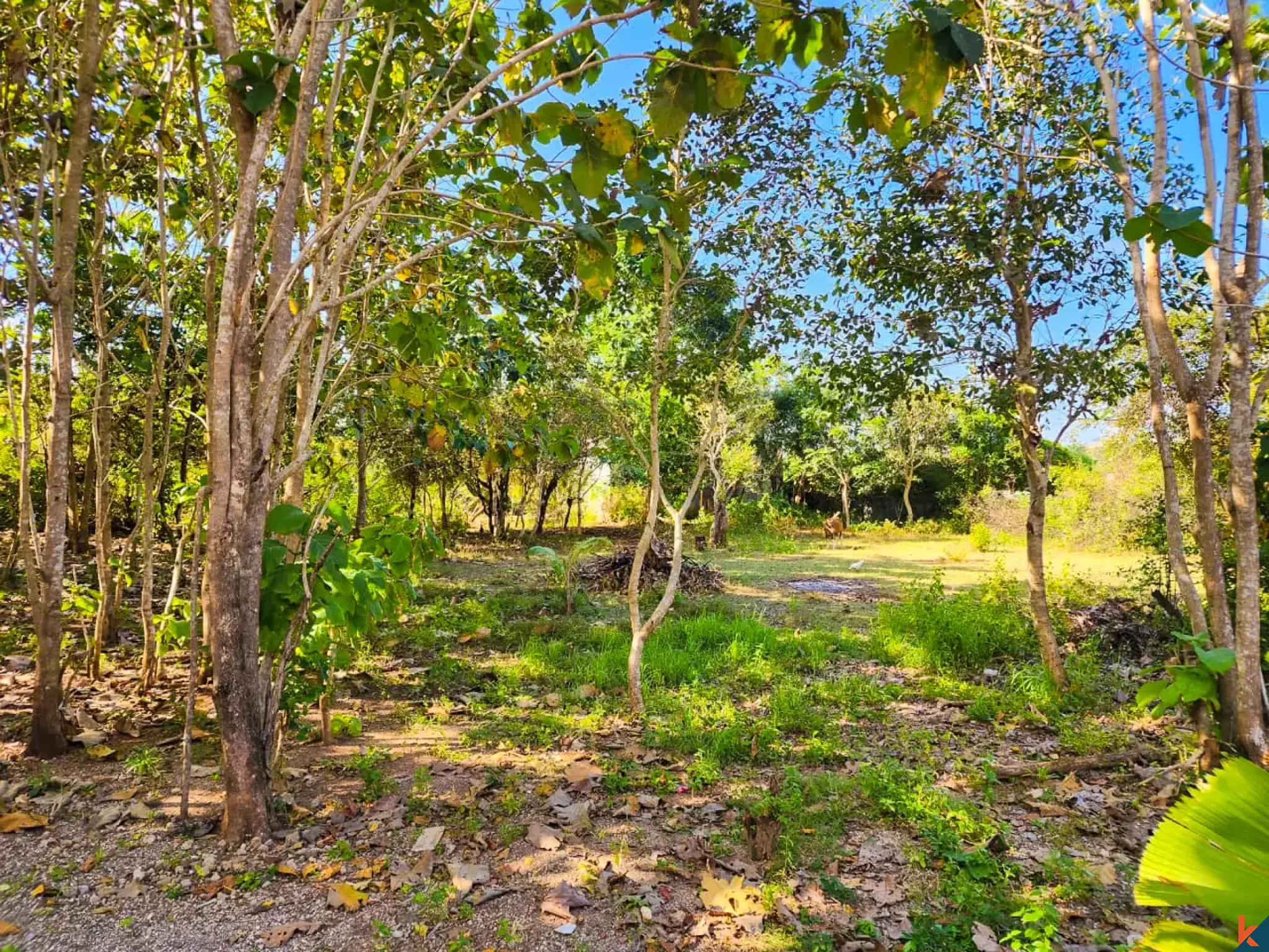 Great Freehold Plot of Land Located in Residential Area of Jimbaran - Nusa Dua
