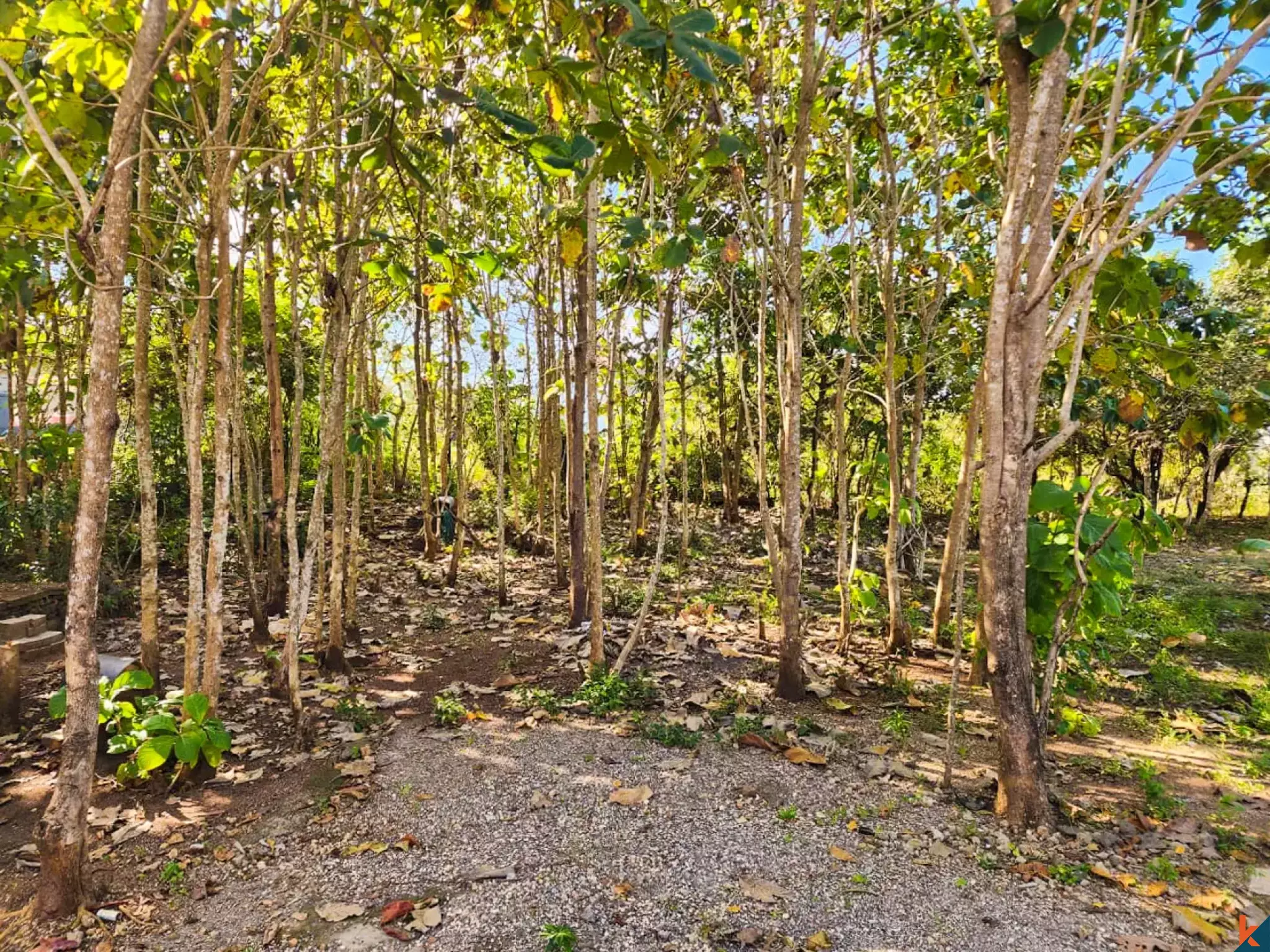 Great Freehold Plot of Land Located in Residential Area of Jimbaran - Nusa Dua