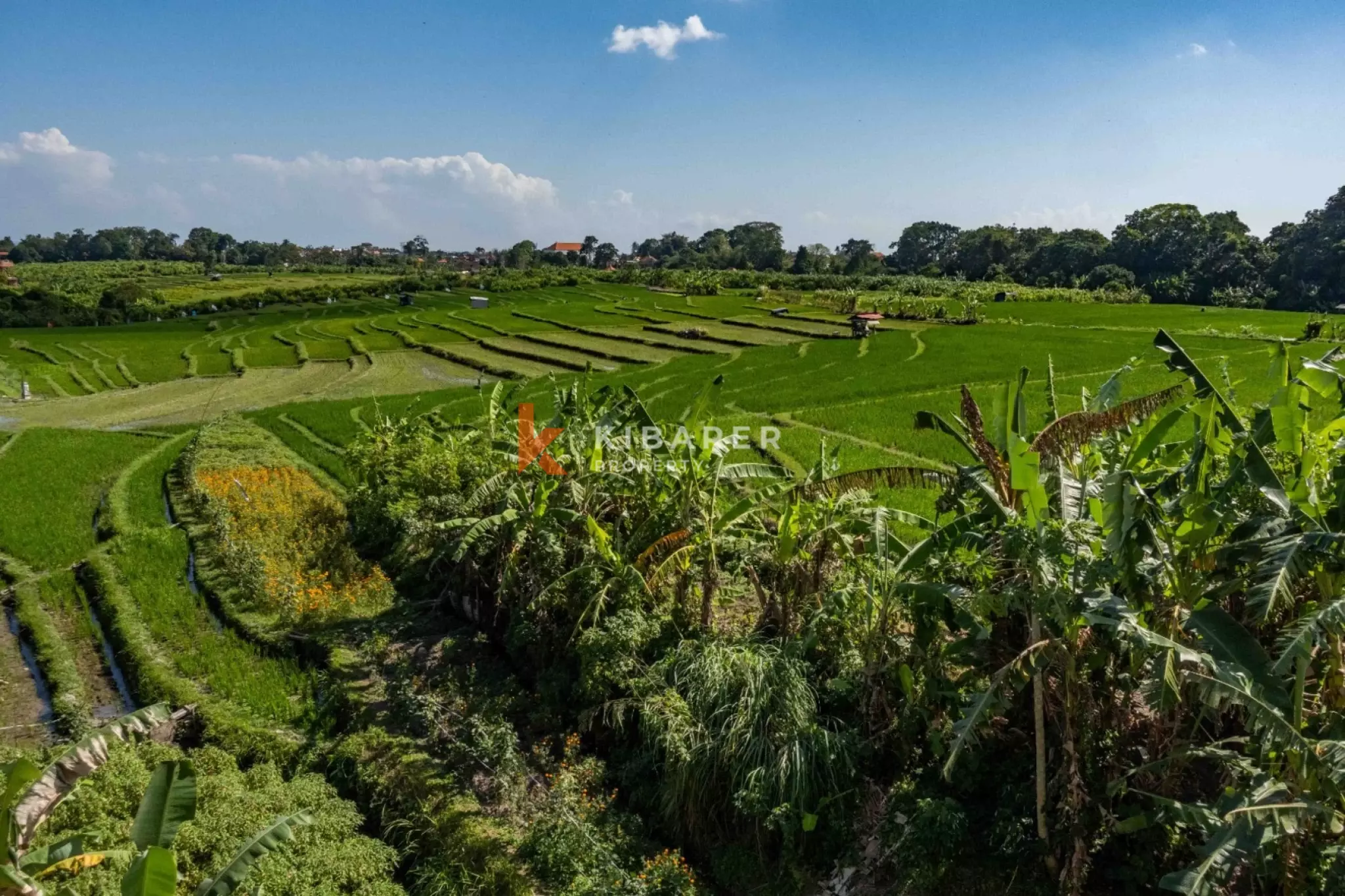 Beautiful Four Bedroom Tropical House Surrounded by Nature in Buduk