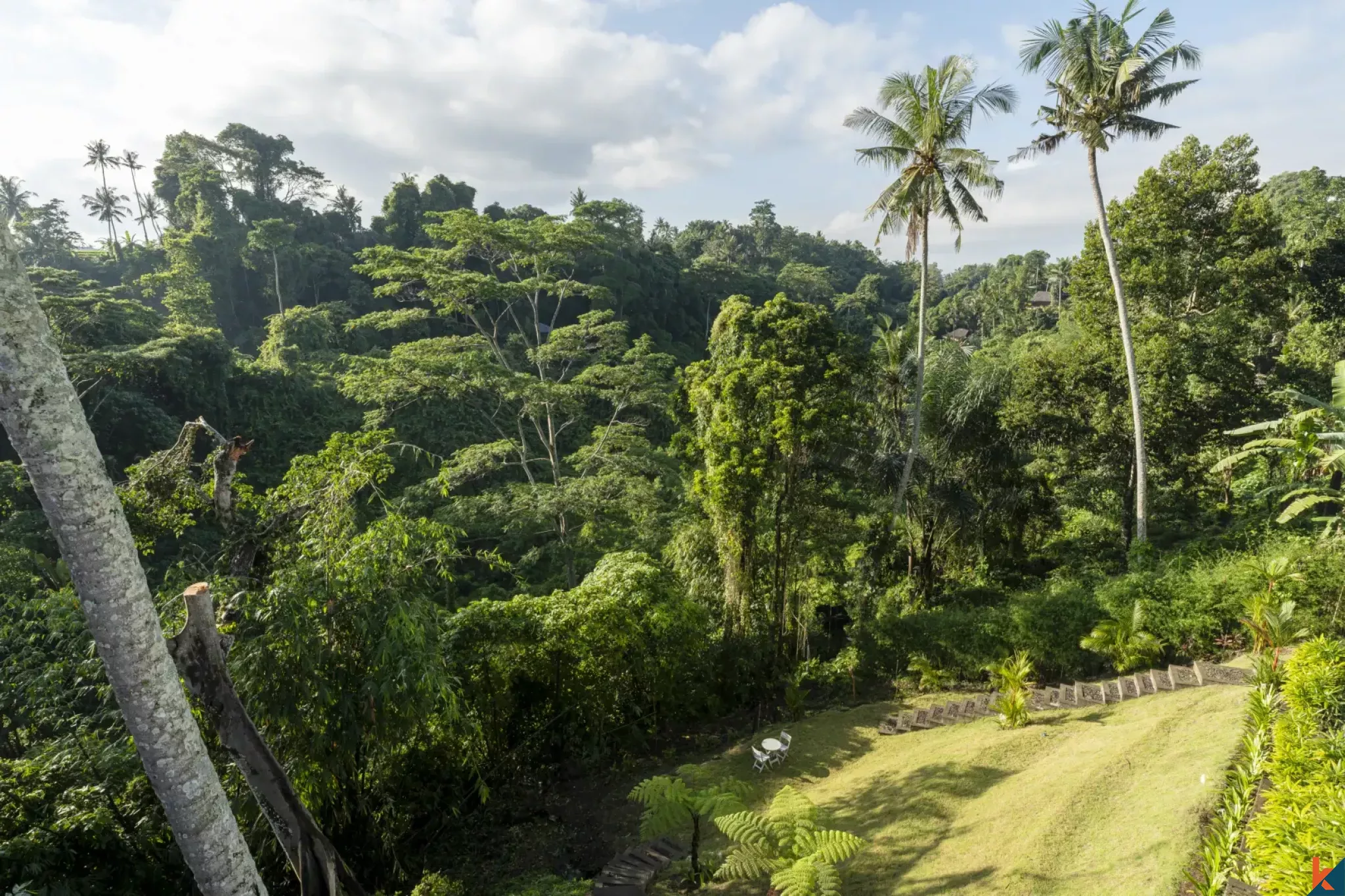 Luxury Four Bedroom Leasehold Property with Jungle Canyon Views in Ubud
