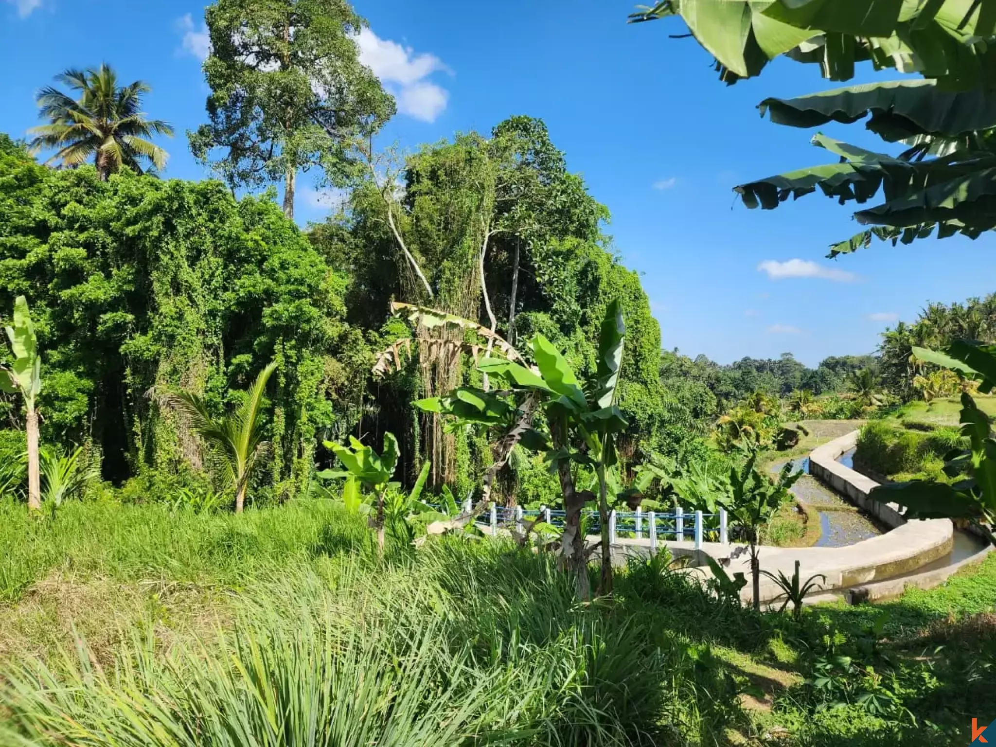 Tanah kompak hak milik yang indah dengan pemandangan hutan di Ubud - Abiansemal