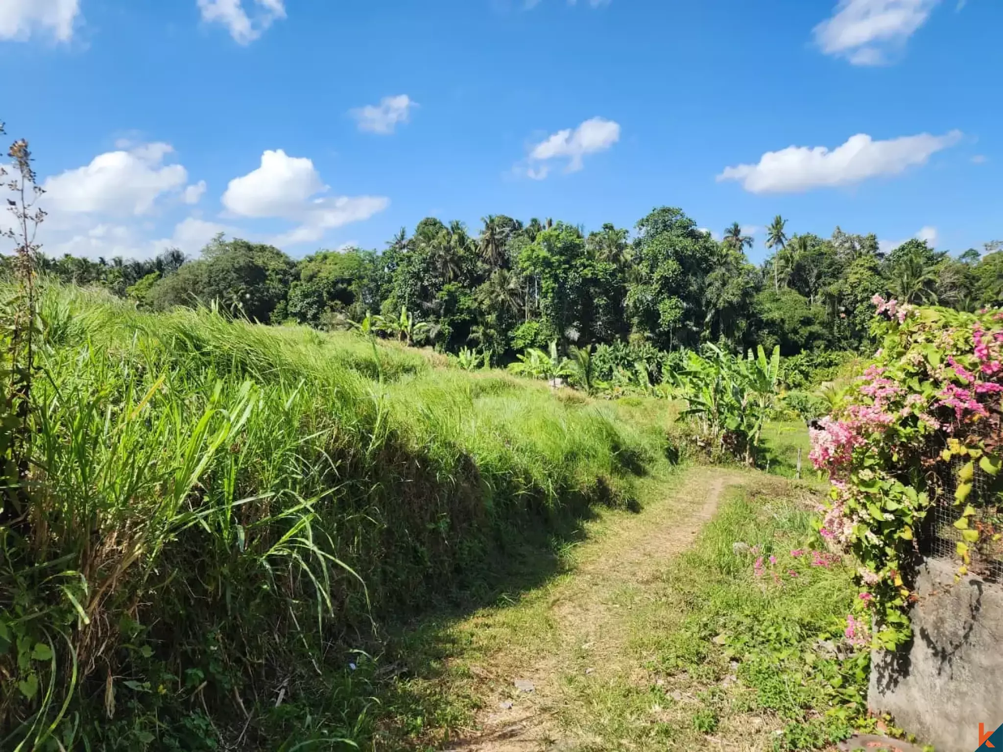 Tanah kompak hak milik yang indah dengan pemandangan hutan di Ubud - Abiansemal