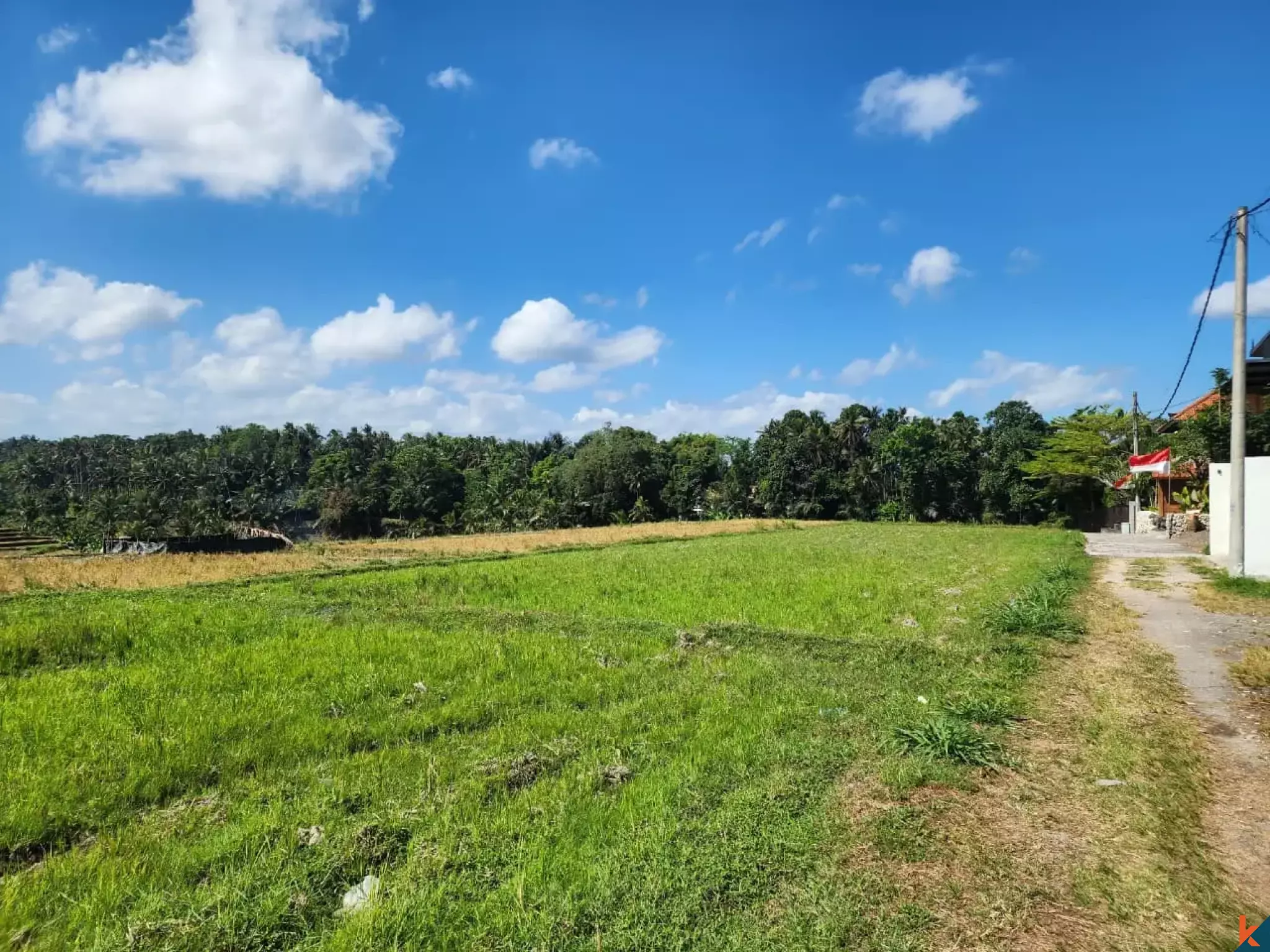 Tanah kompak hak milik yang indah dengan pemandangan hutan di Ubud - Abiansemal