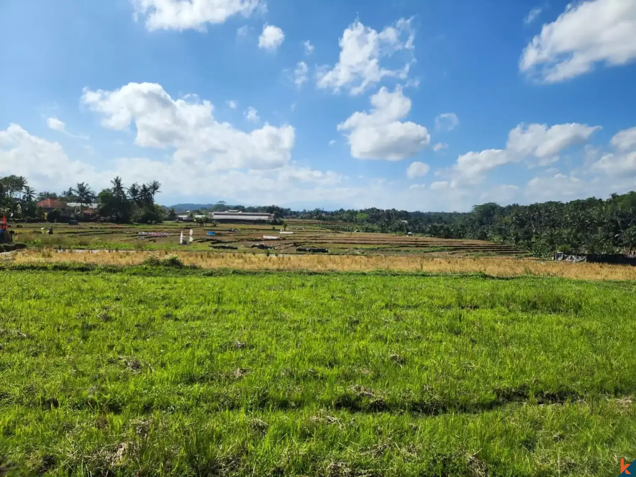 Tanah kompak hak milik yang indah dengan pemandangan hutan di Ubud - Abiansemal