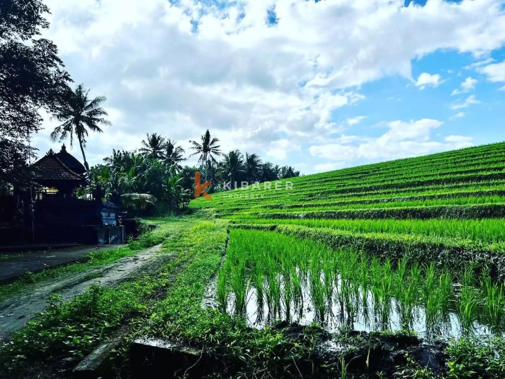 Tropical Three Bedroom Villa with Mountain View Near Tanah Lot