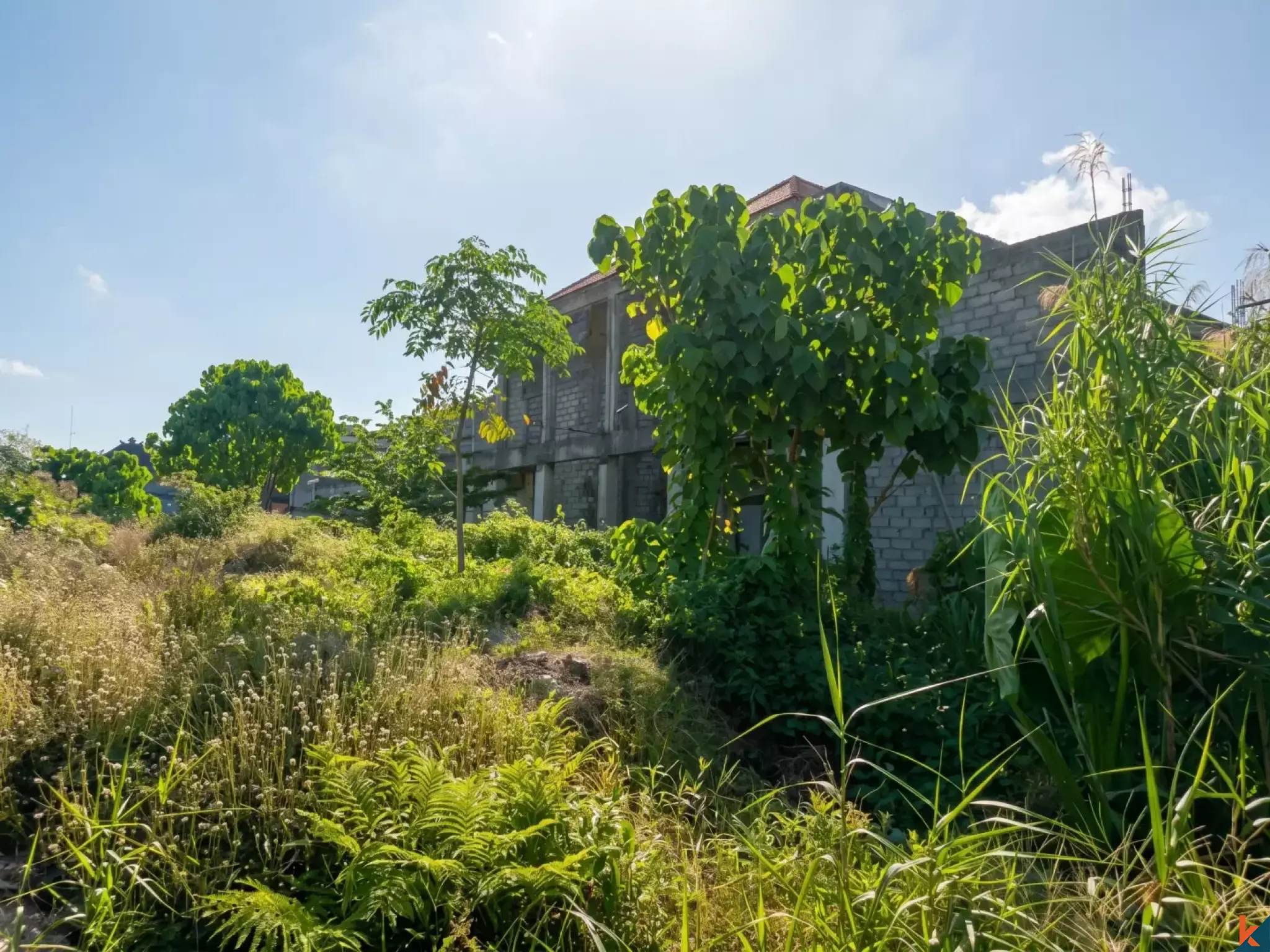Prime 29.9 Are Leasehold Land with Development Potential in Seminyak